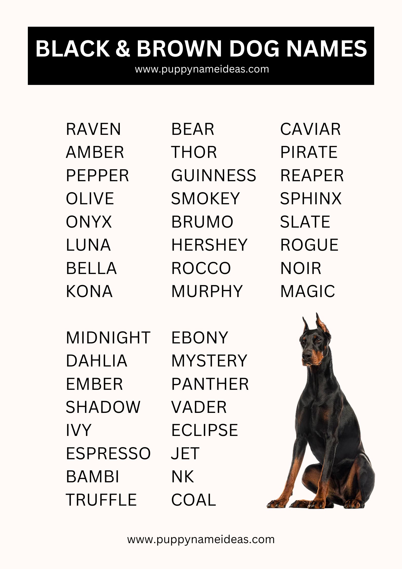 list of black and brown dog names