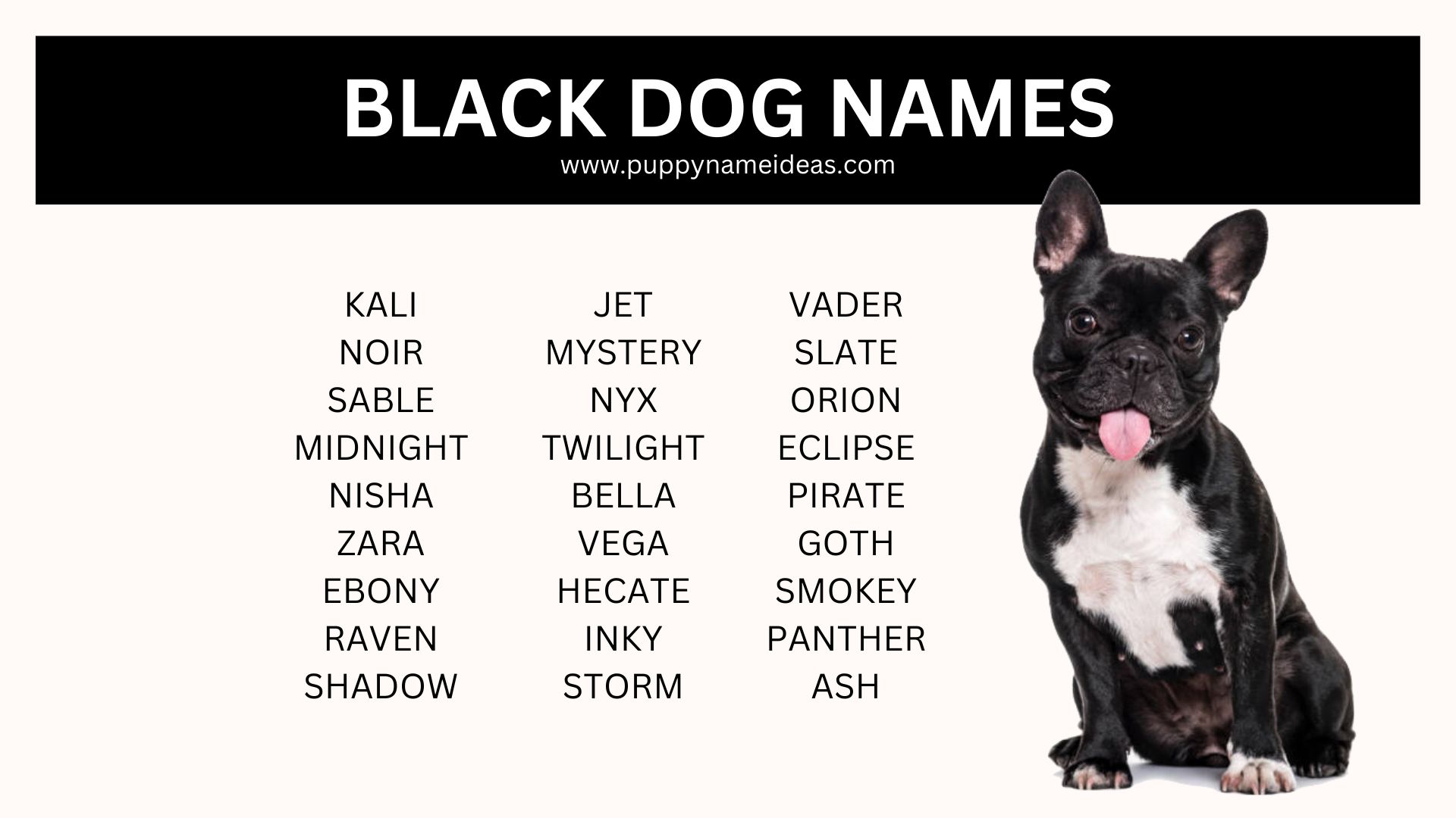 list of black dog names