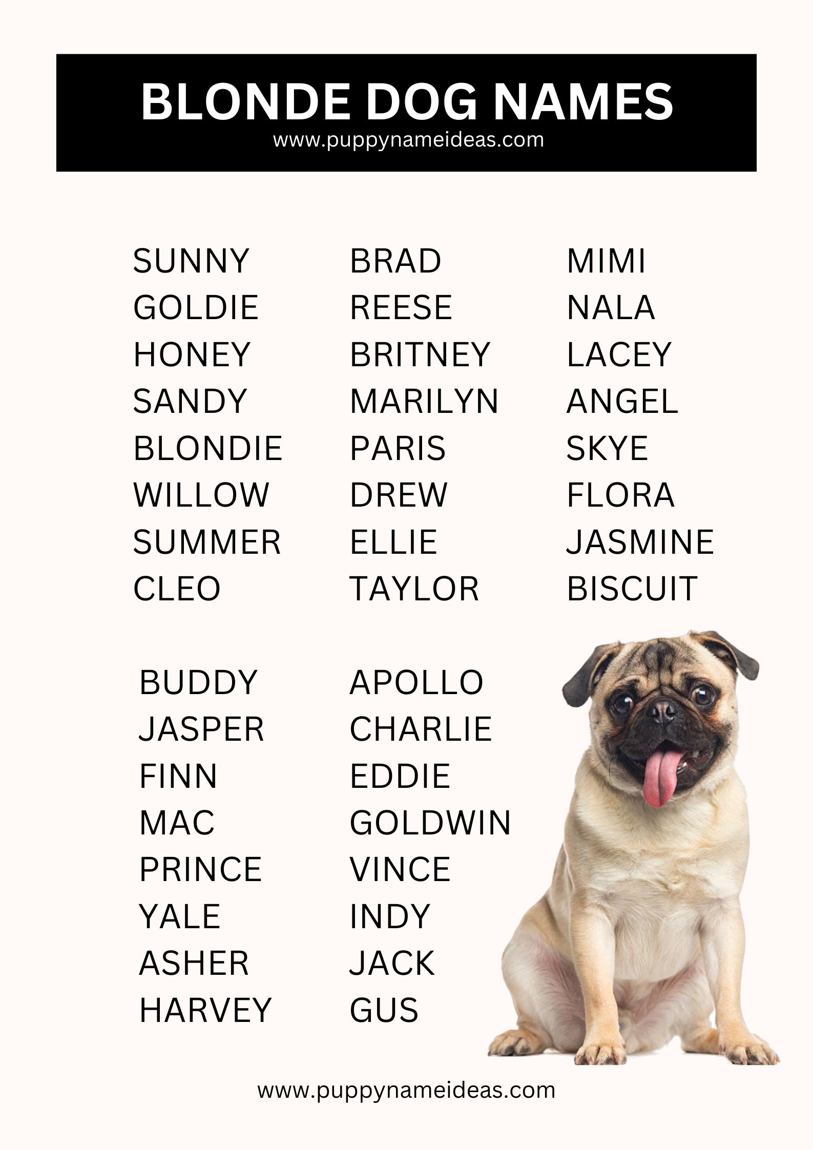 List Of Blonde Dog Names