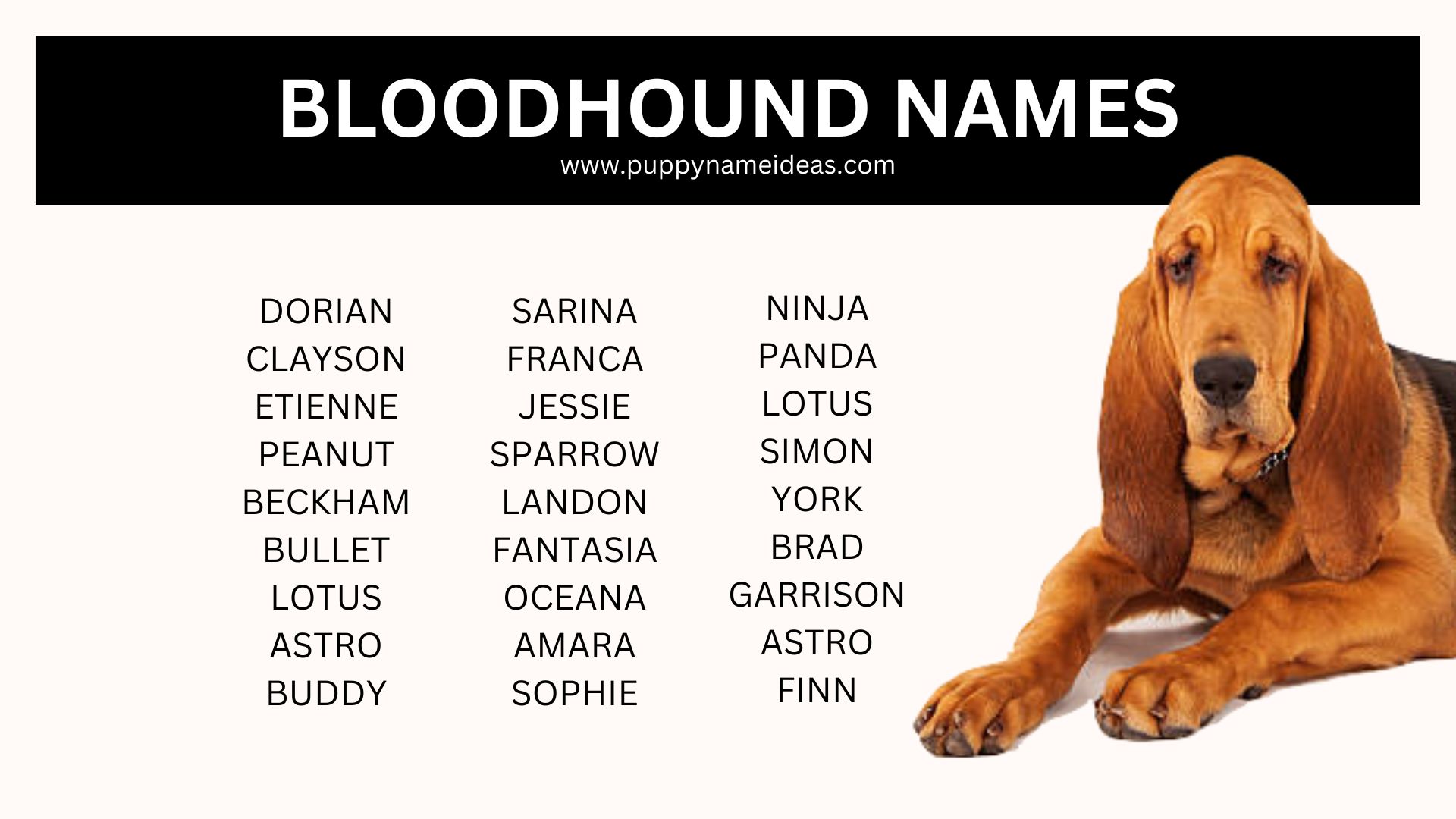 list of bloodhound dog names