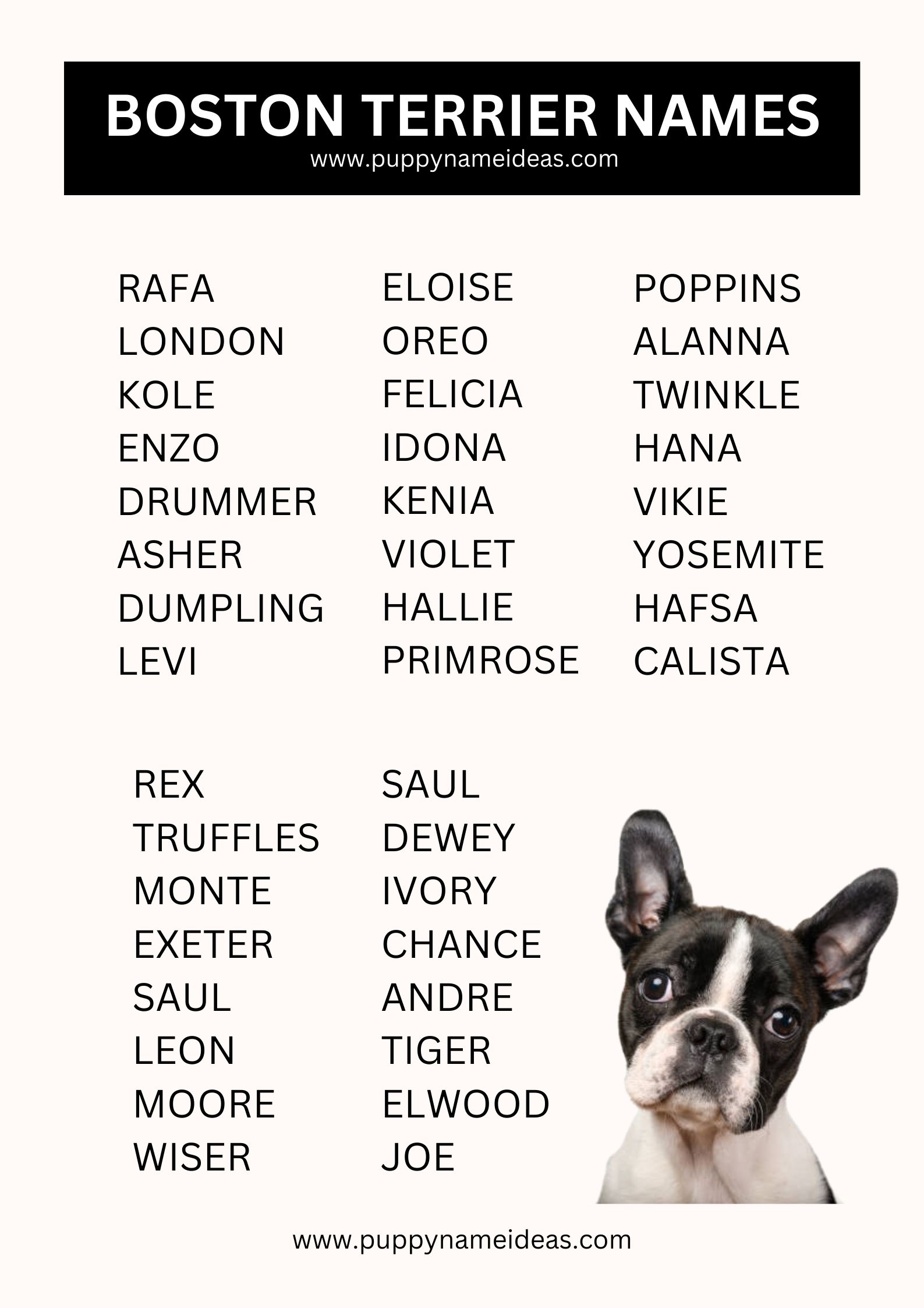 list of boston terrier names