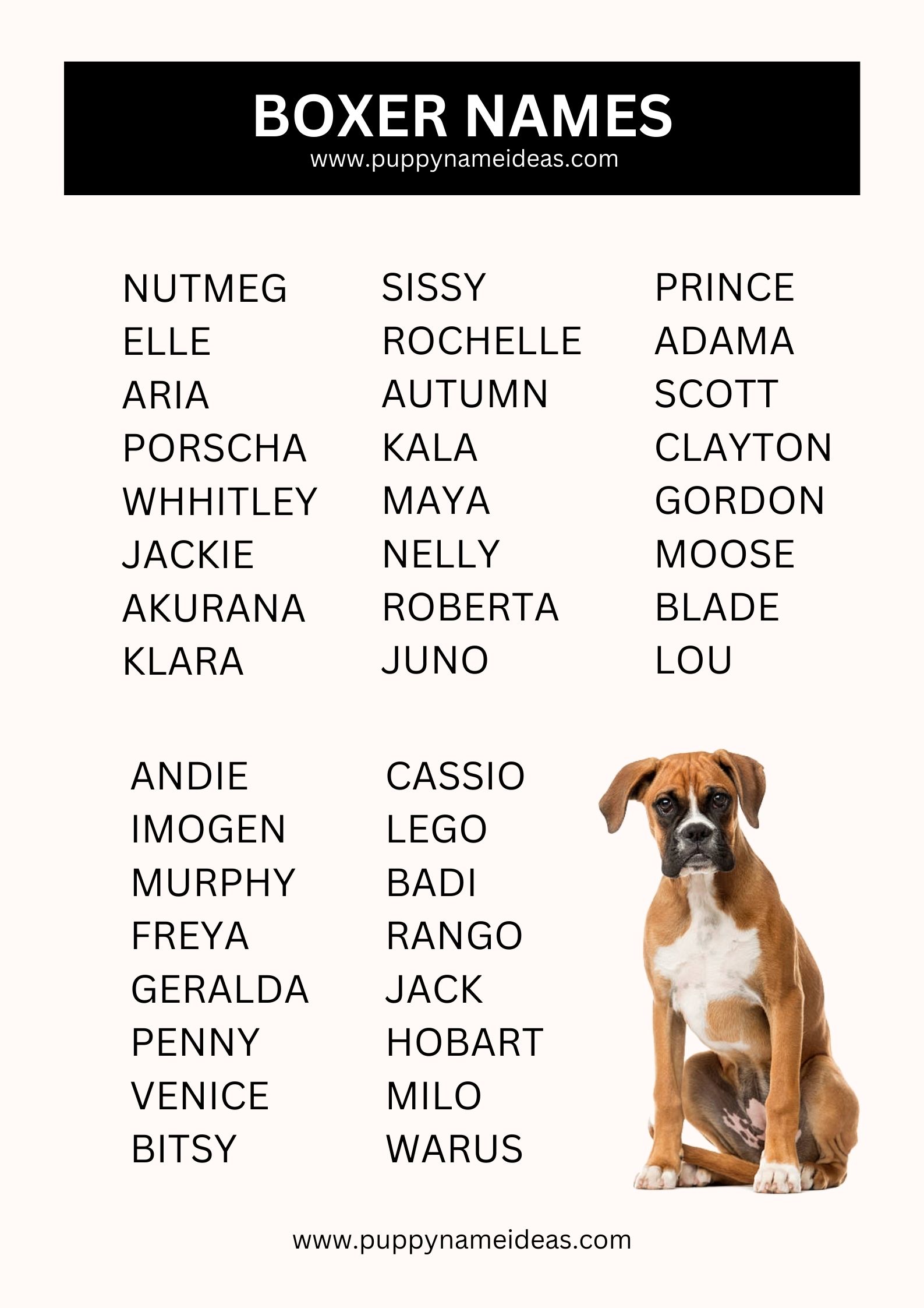 list of boxer names