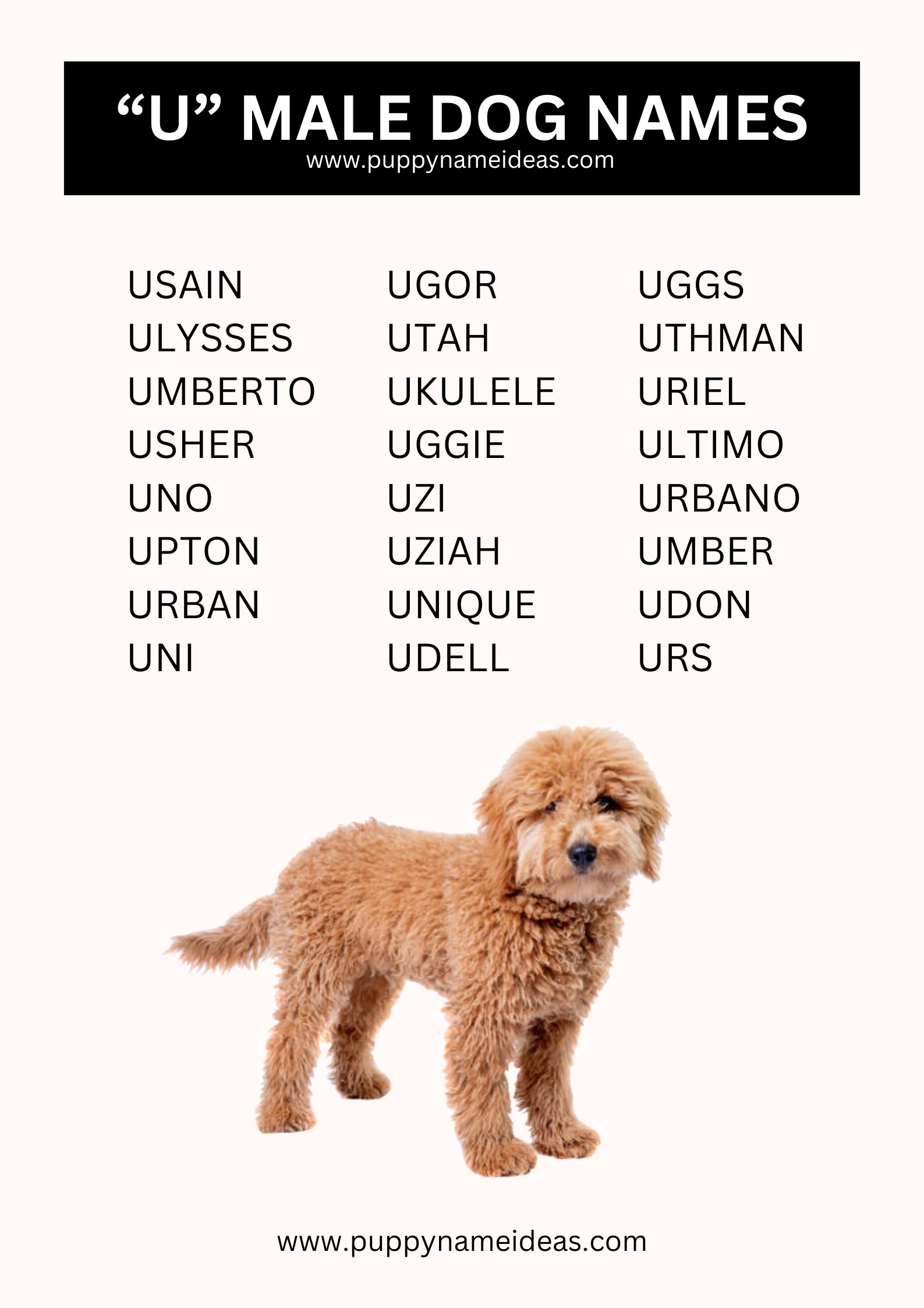 list of boy dog names that start with U