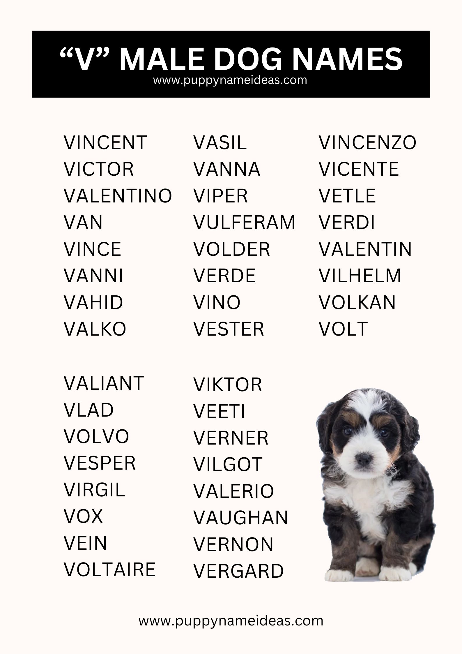 List Of Boy Dog Names That Start With V