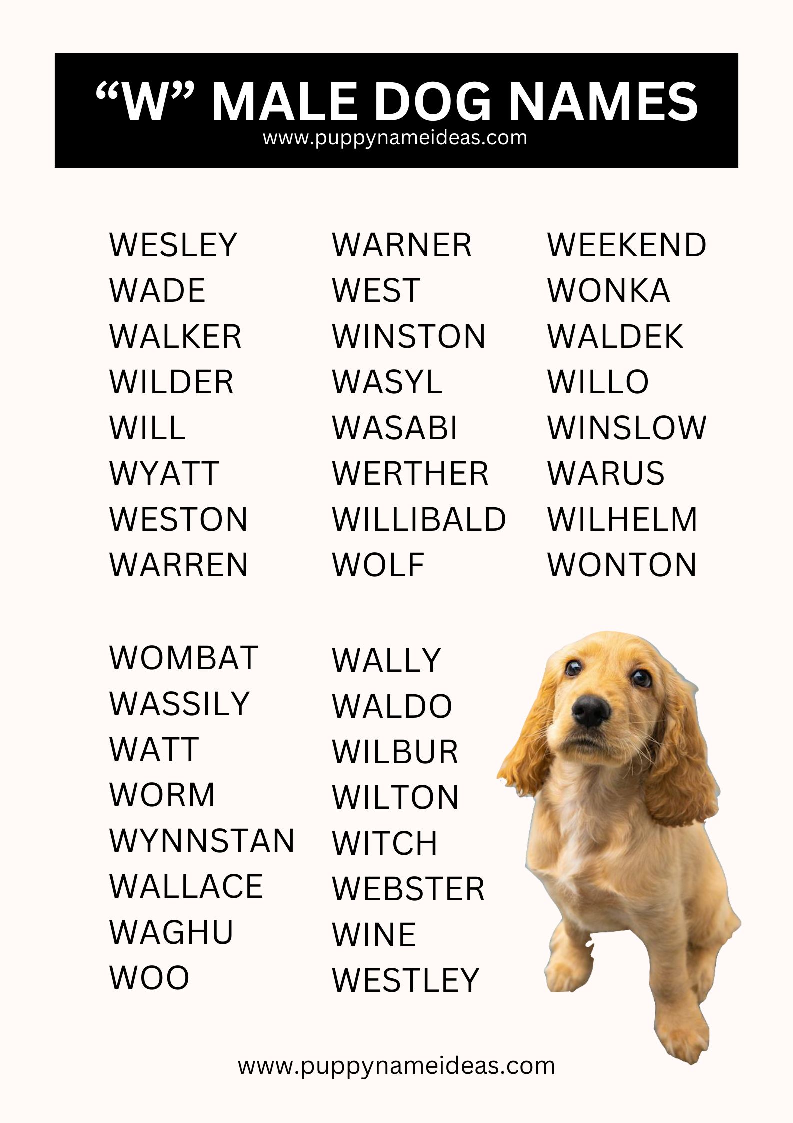 List Of Boy Dog Names That Start With W