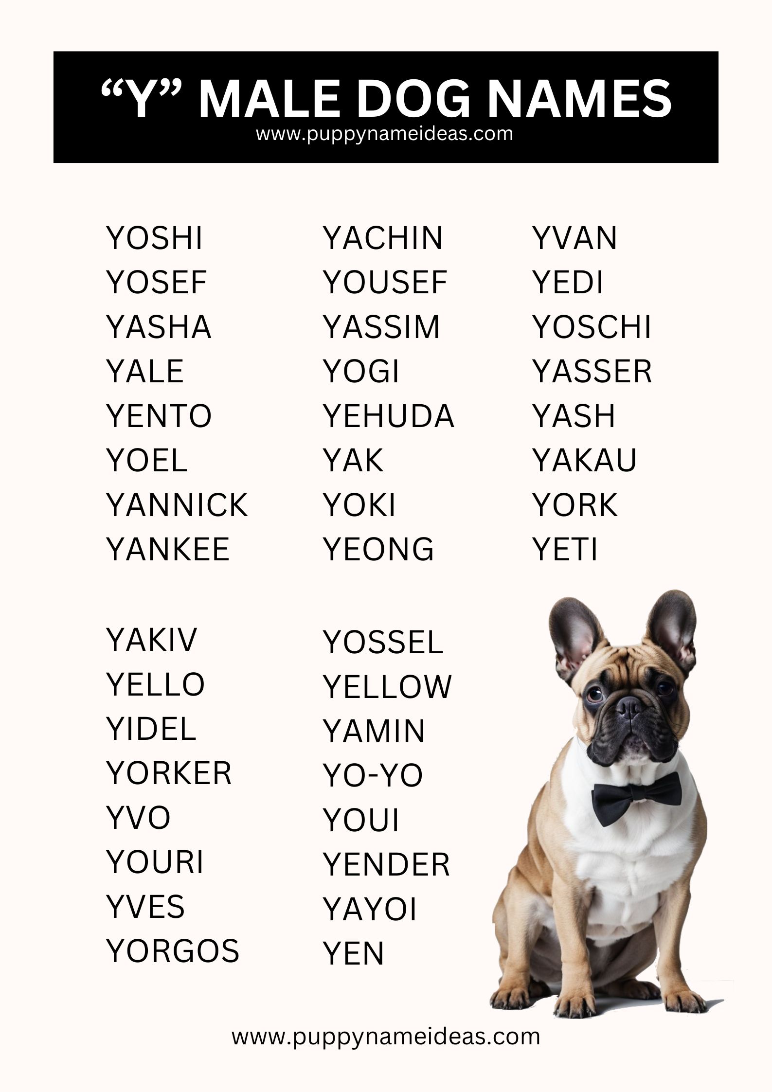 List Of Boy Dog Names That Start With Y