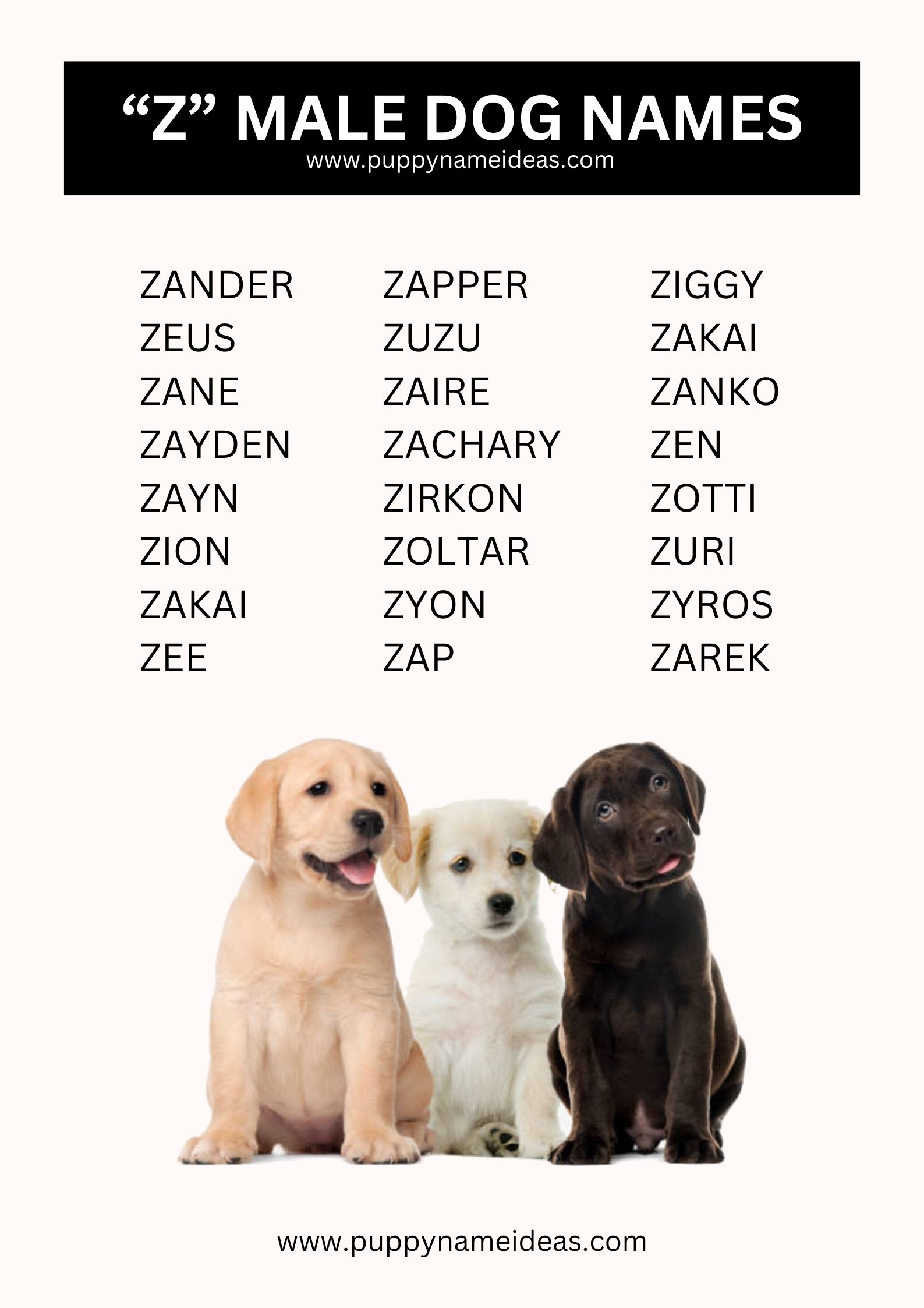 List Of Boy Dog Names That Start With Z