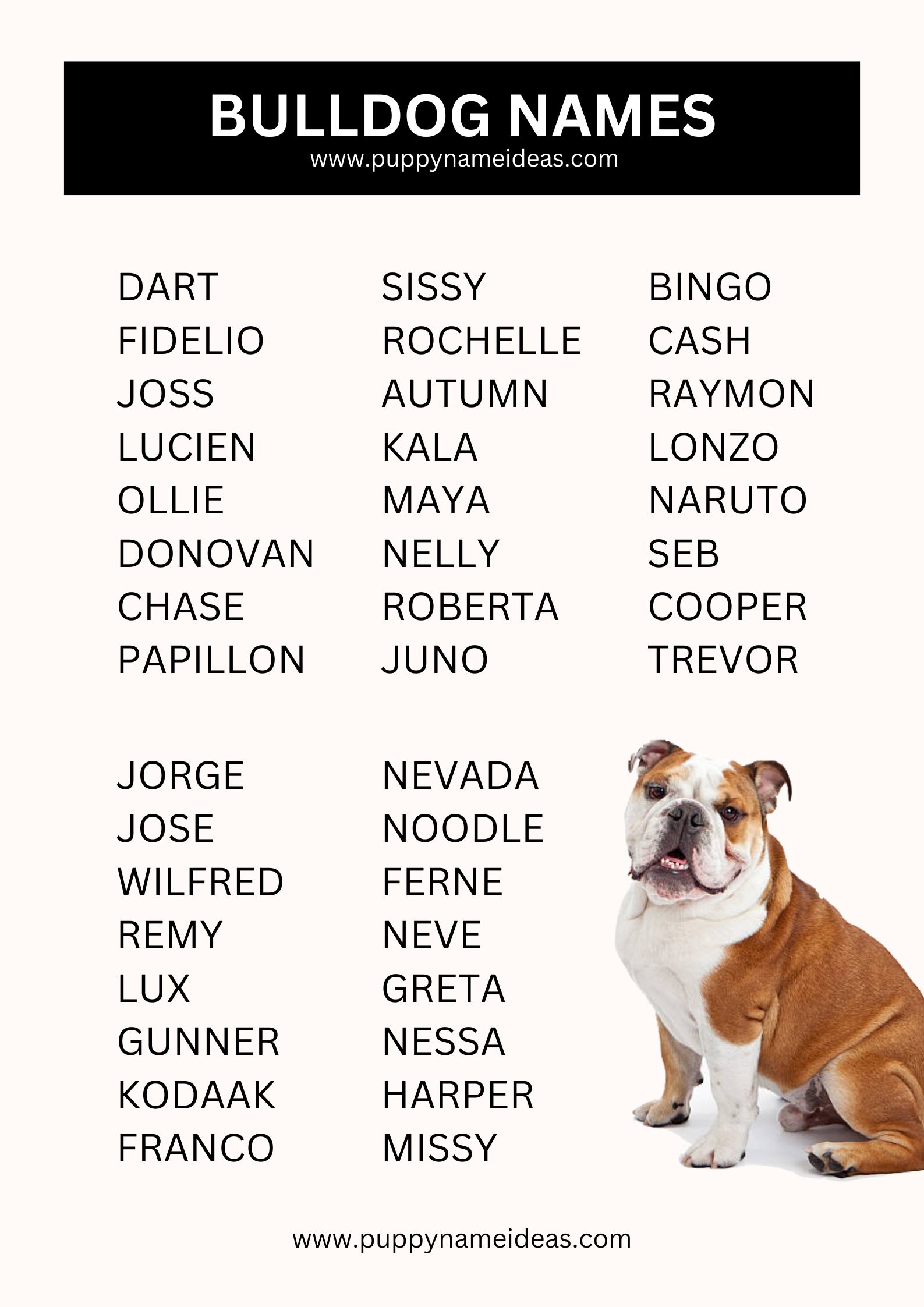 list of bulldog names