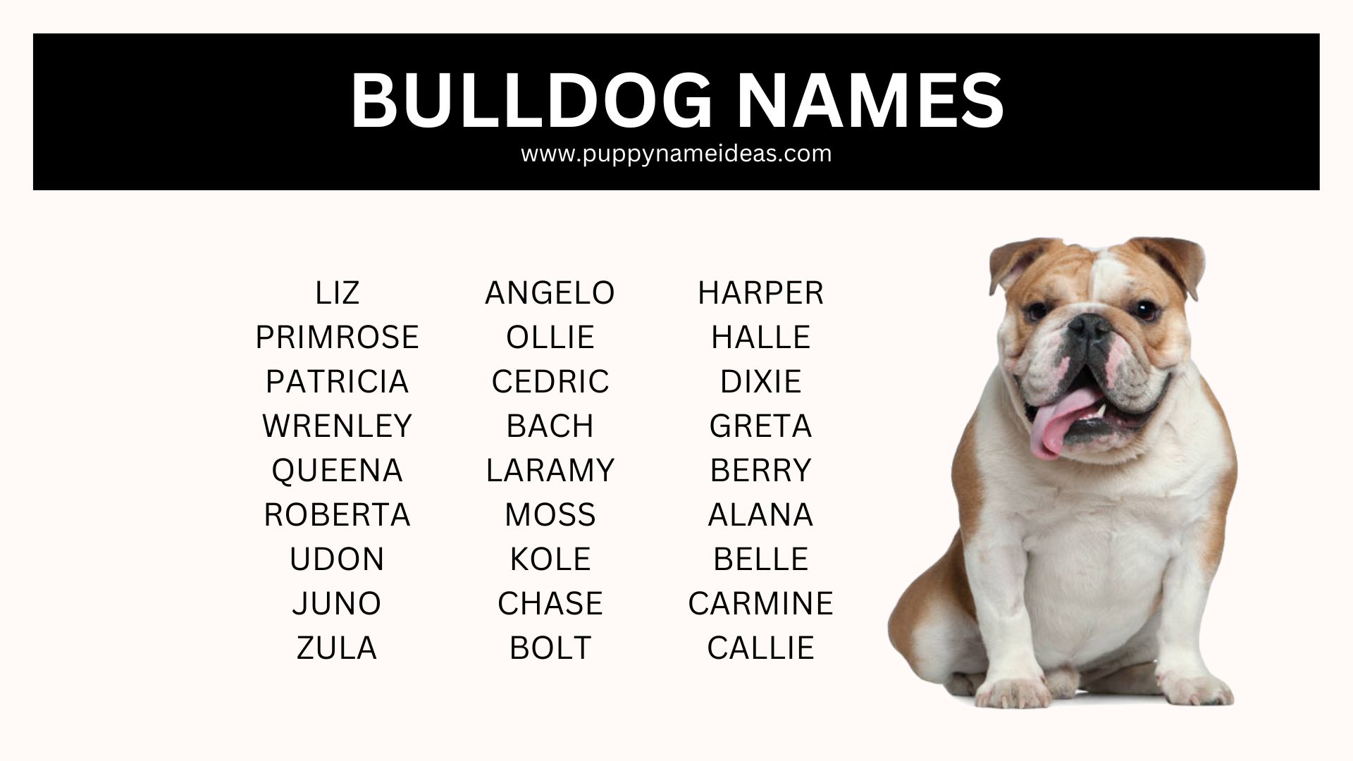 list of bulldog names