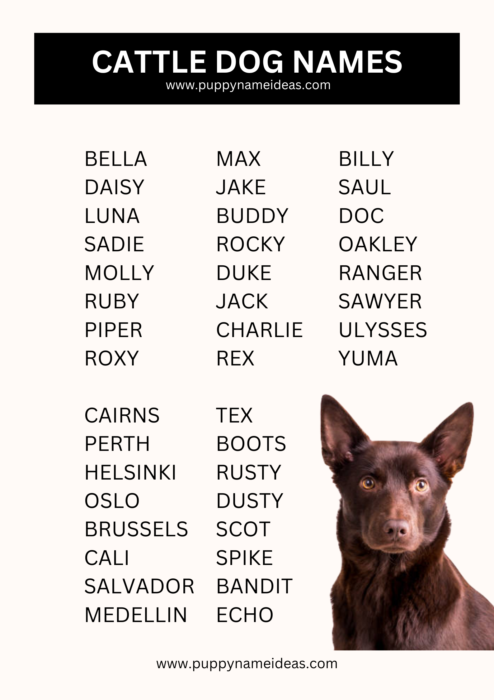 list of cattle dog names