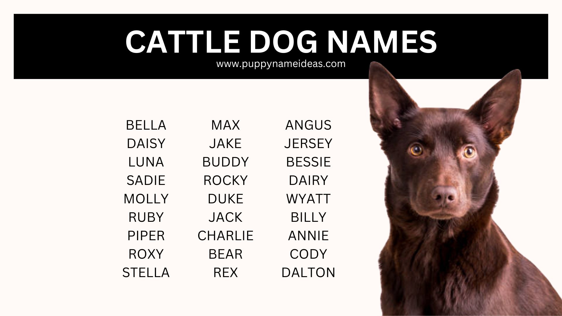 list of cattle dog names