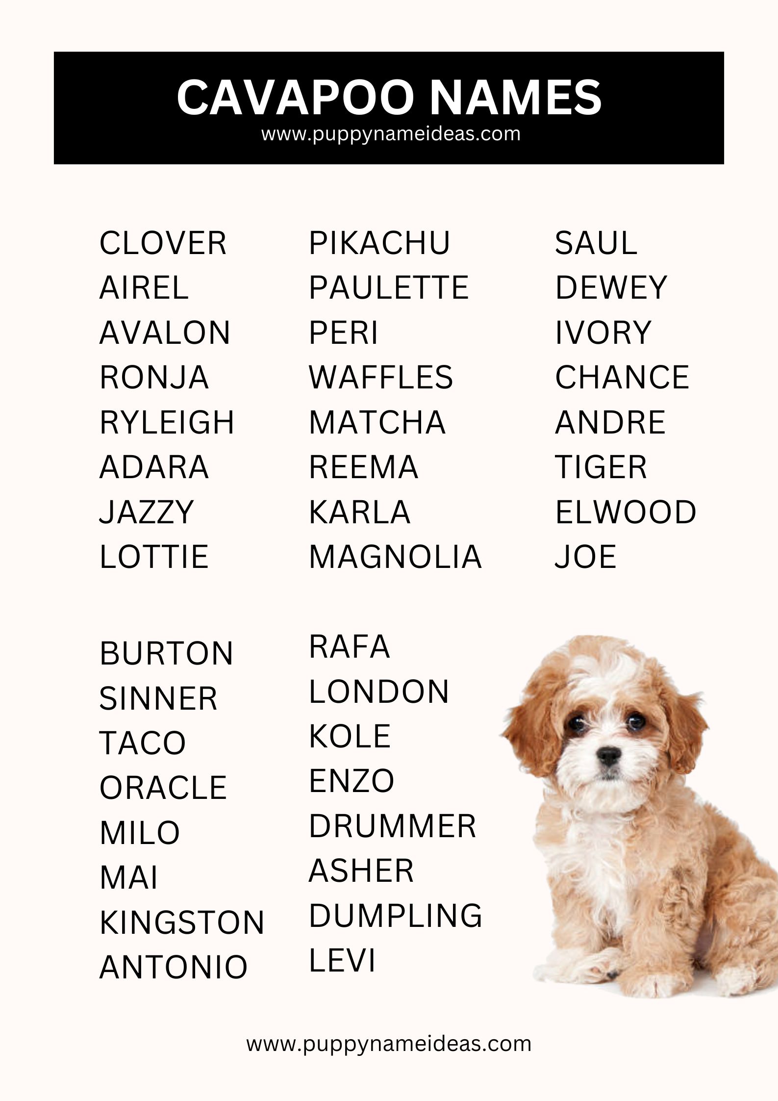 List Of Cavapoo Names