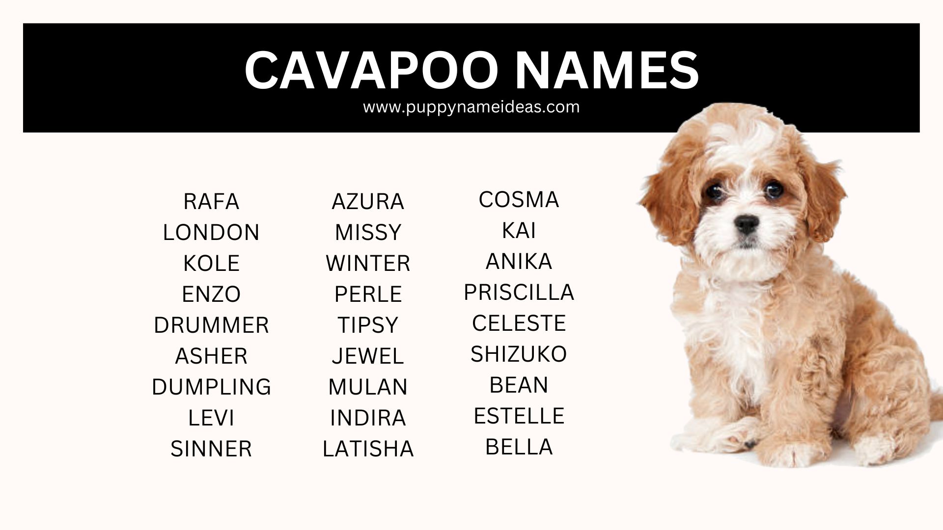 list of cavapoo names