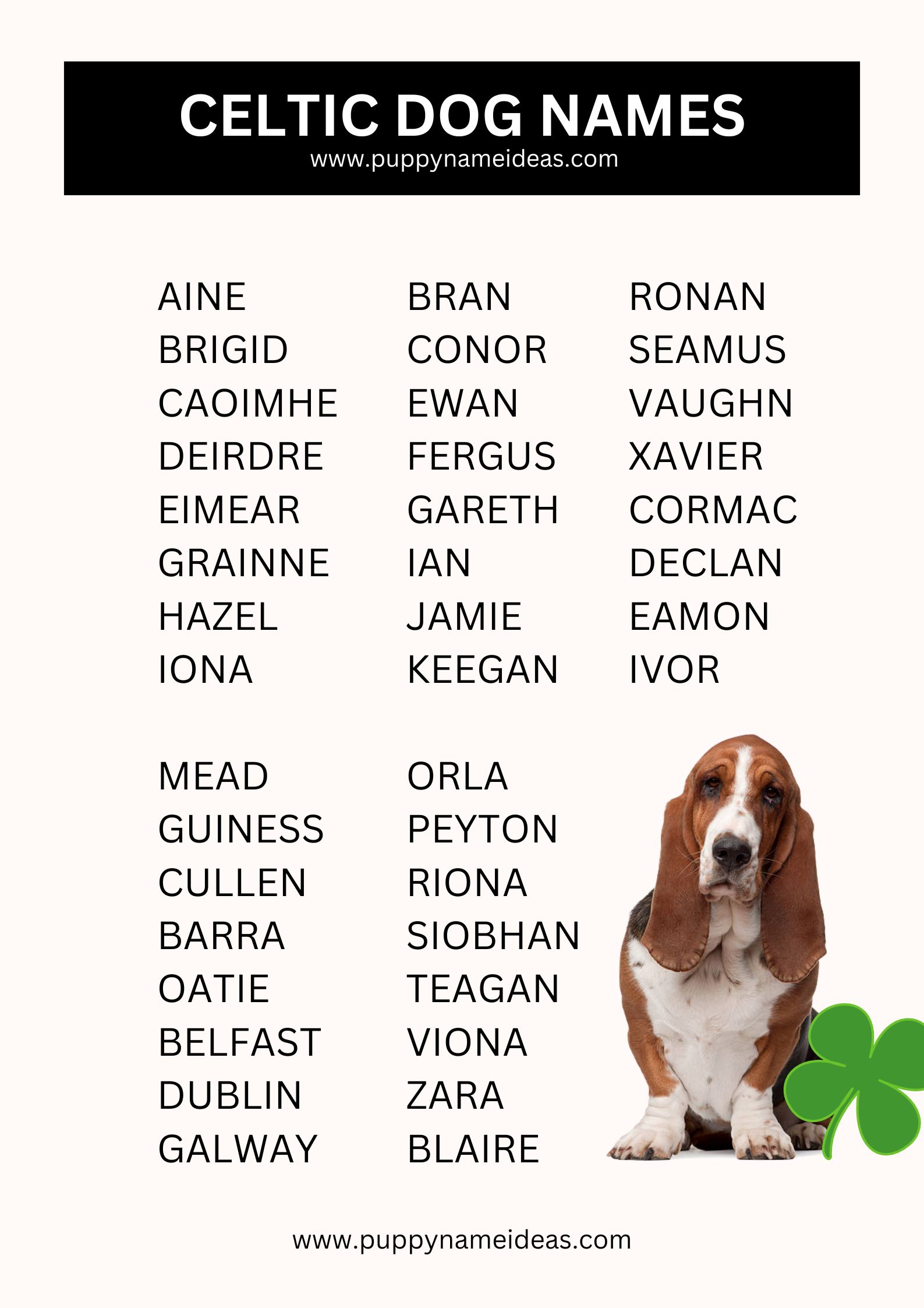 list of celtic dog names