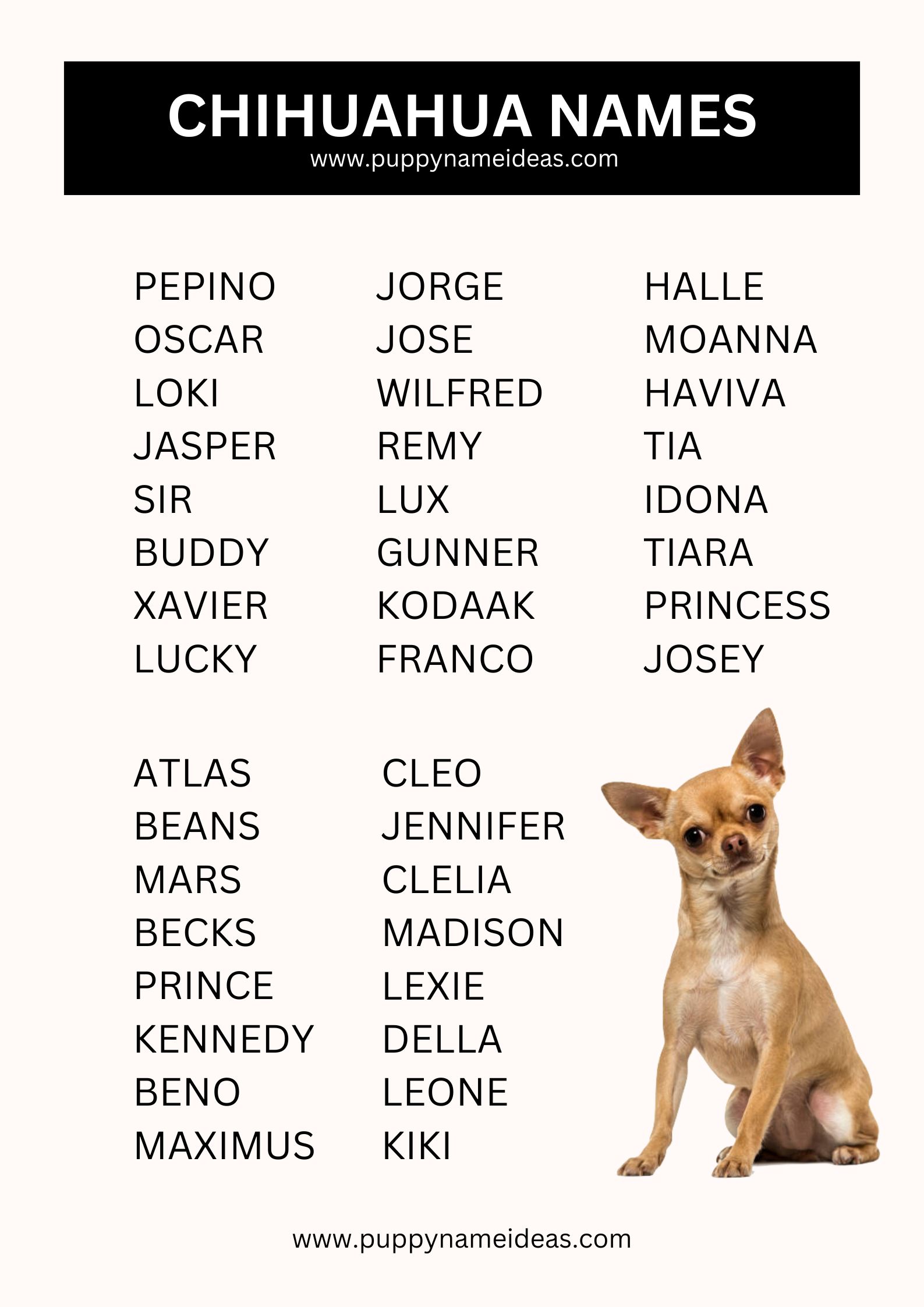 List Of Chihuahua Names