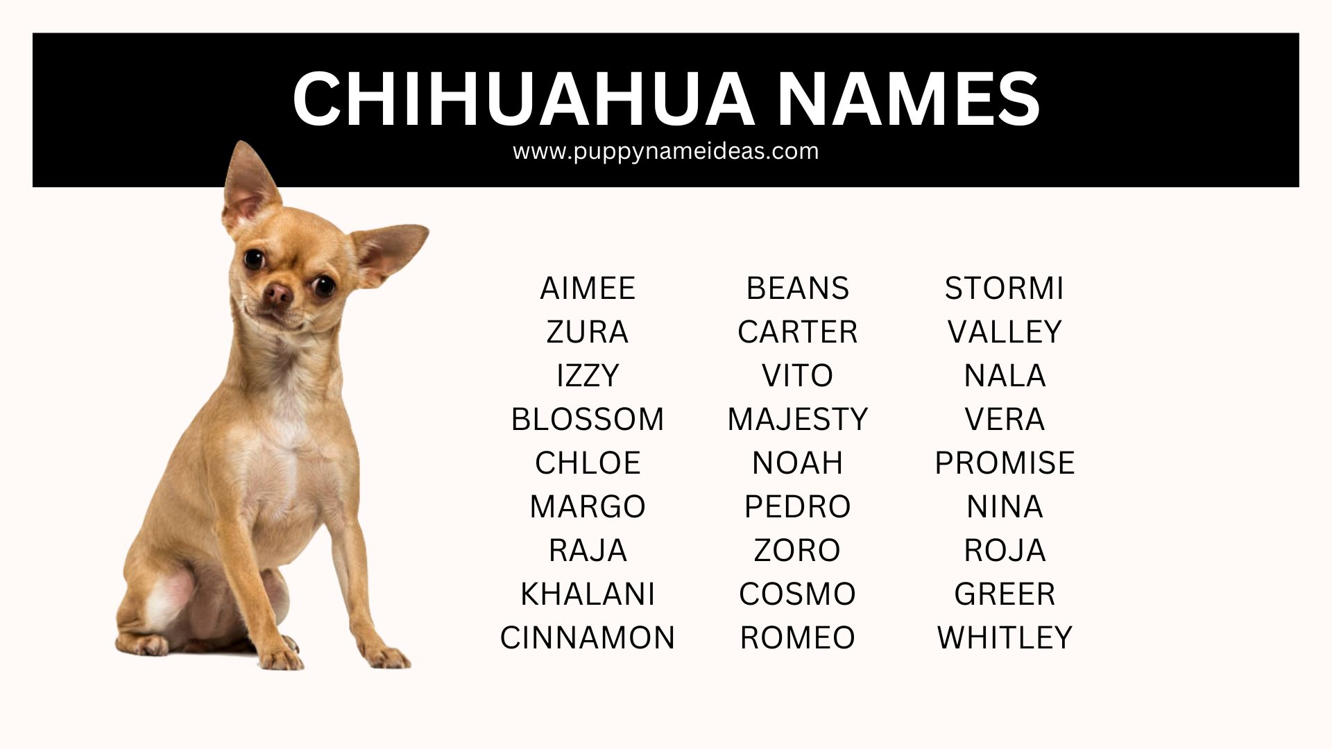 list of chihuahua names