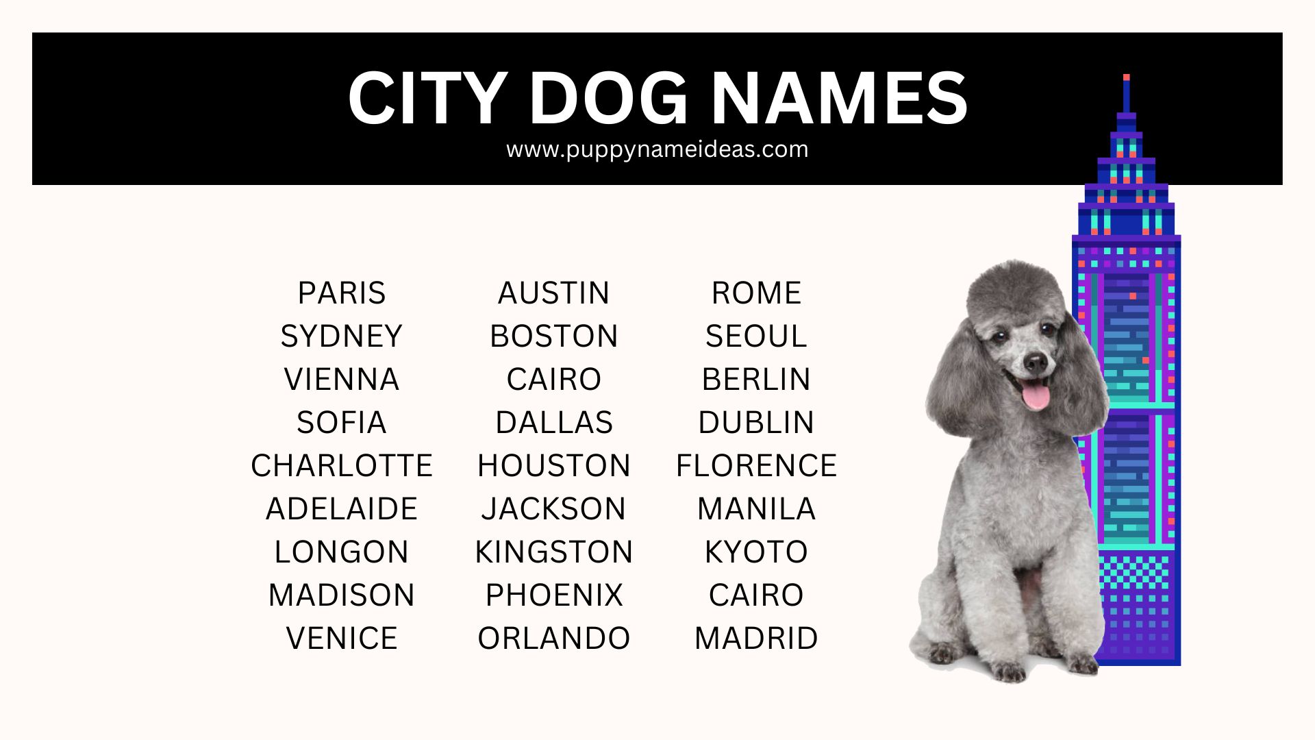 245+ City Dog Names