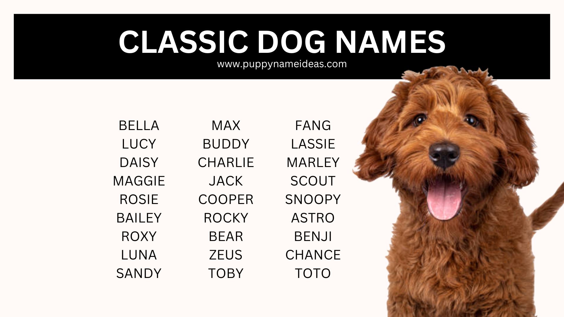 180+ Classic Dog Names