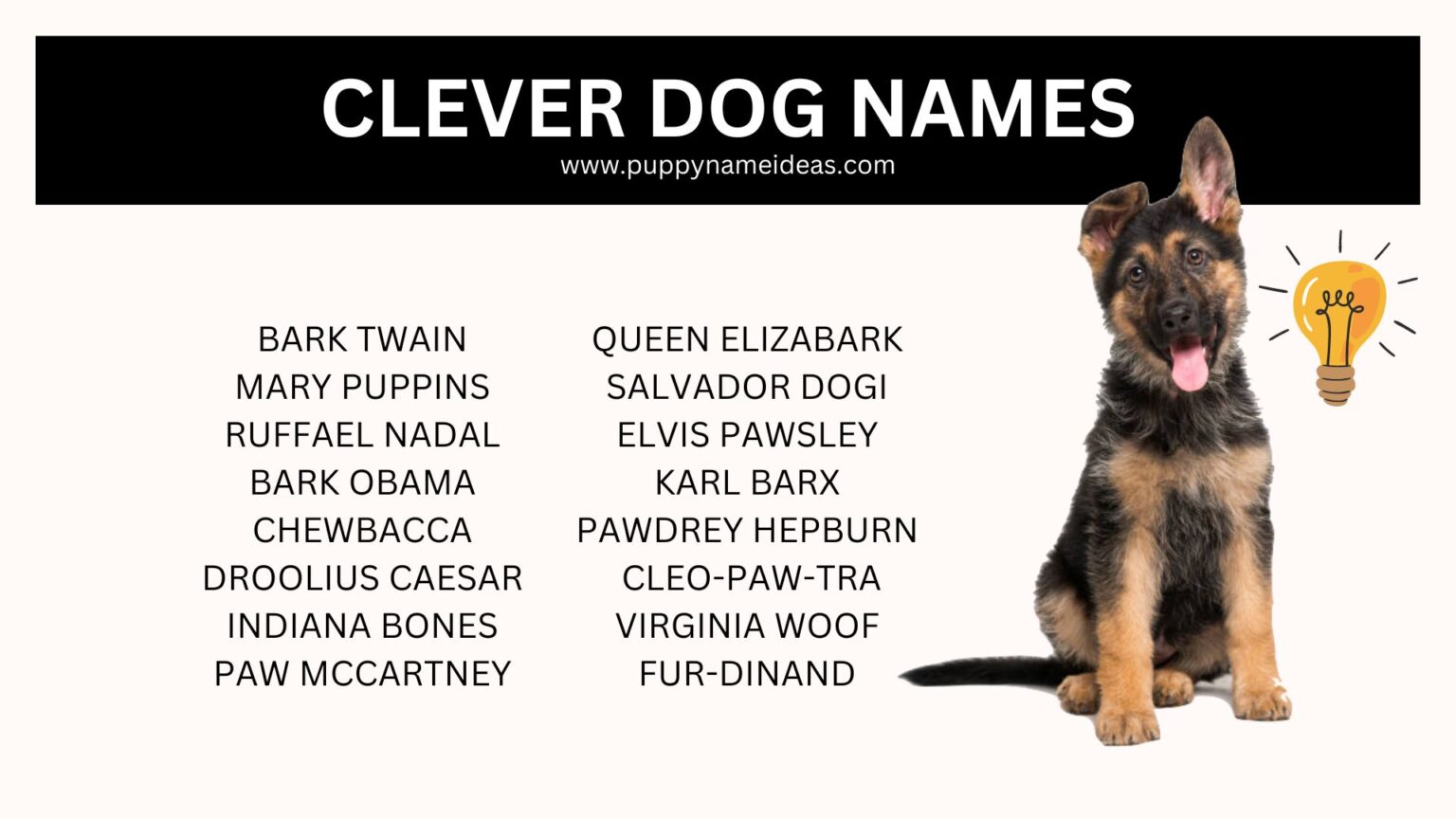 Dog Names 175+ Uncommon Dog Names - Puppy Name Ideas