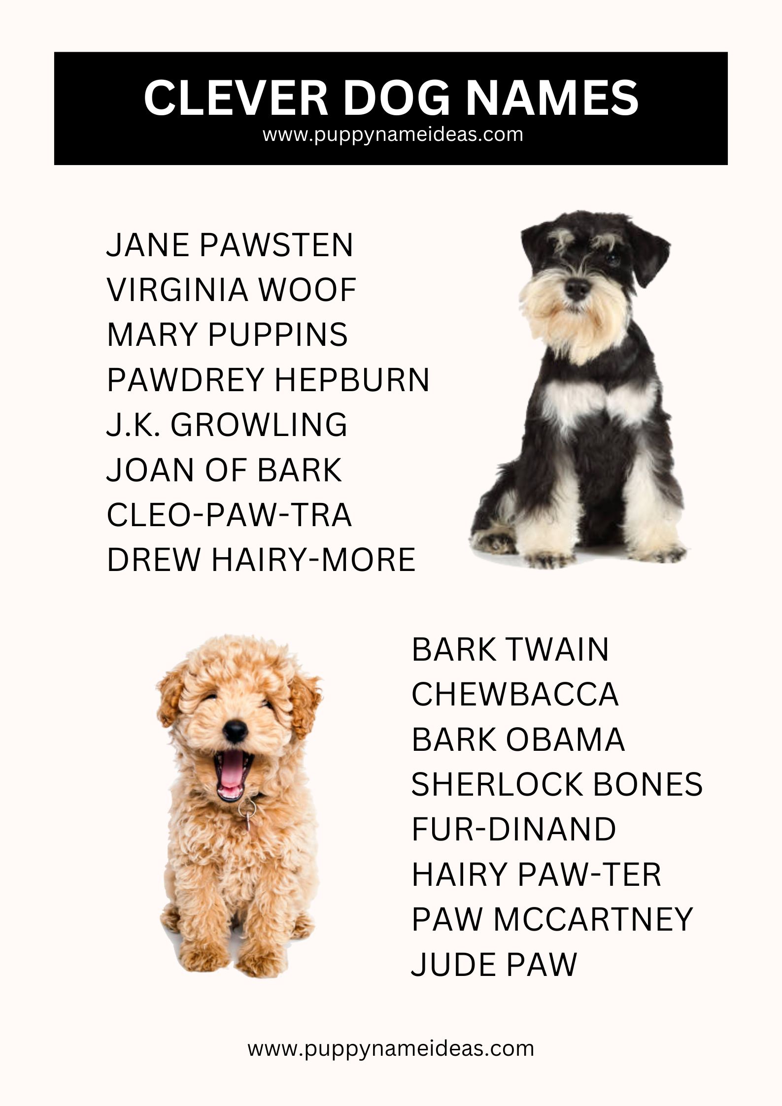 List Of Clever Dog Names