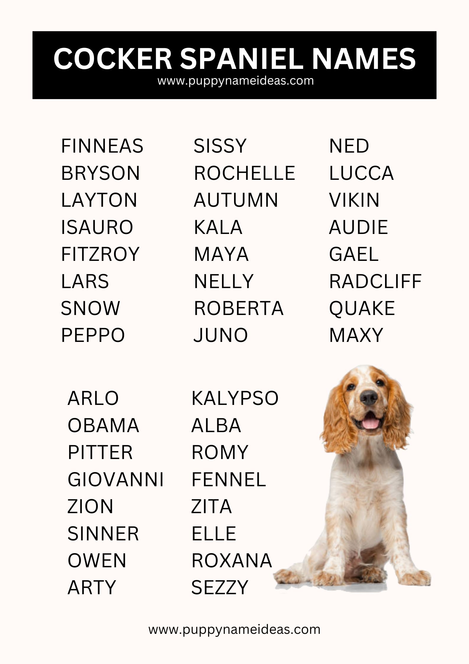 List Of Cocker Spaniel Names