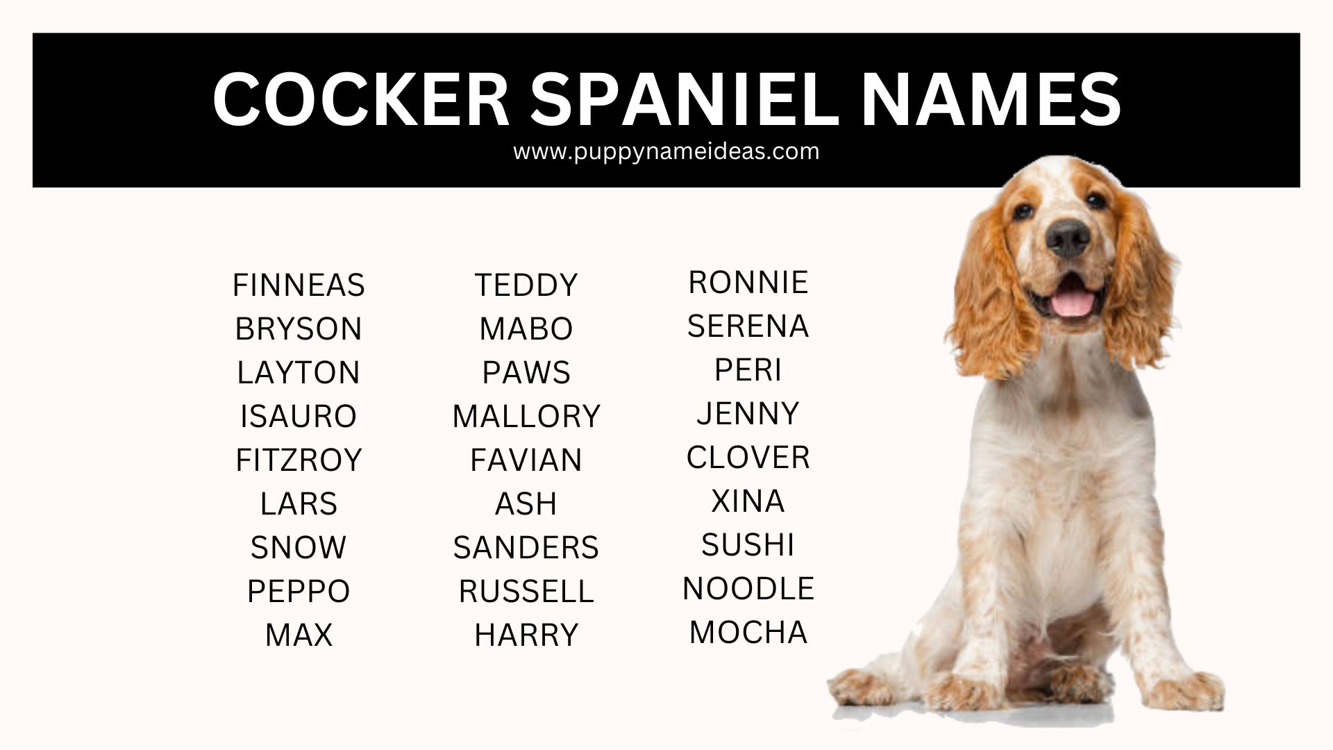 list of cocker spaniel names
