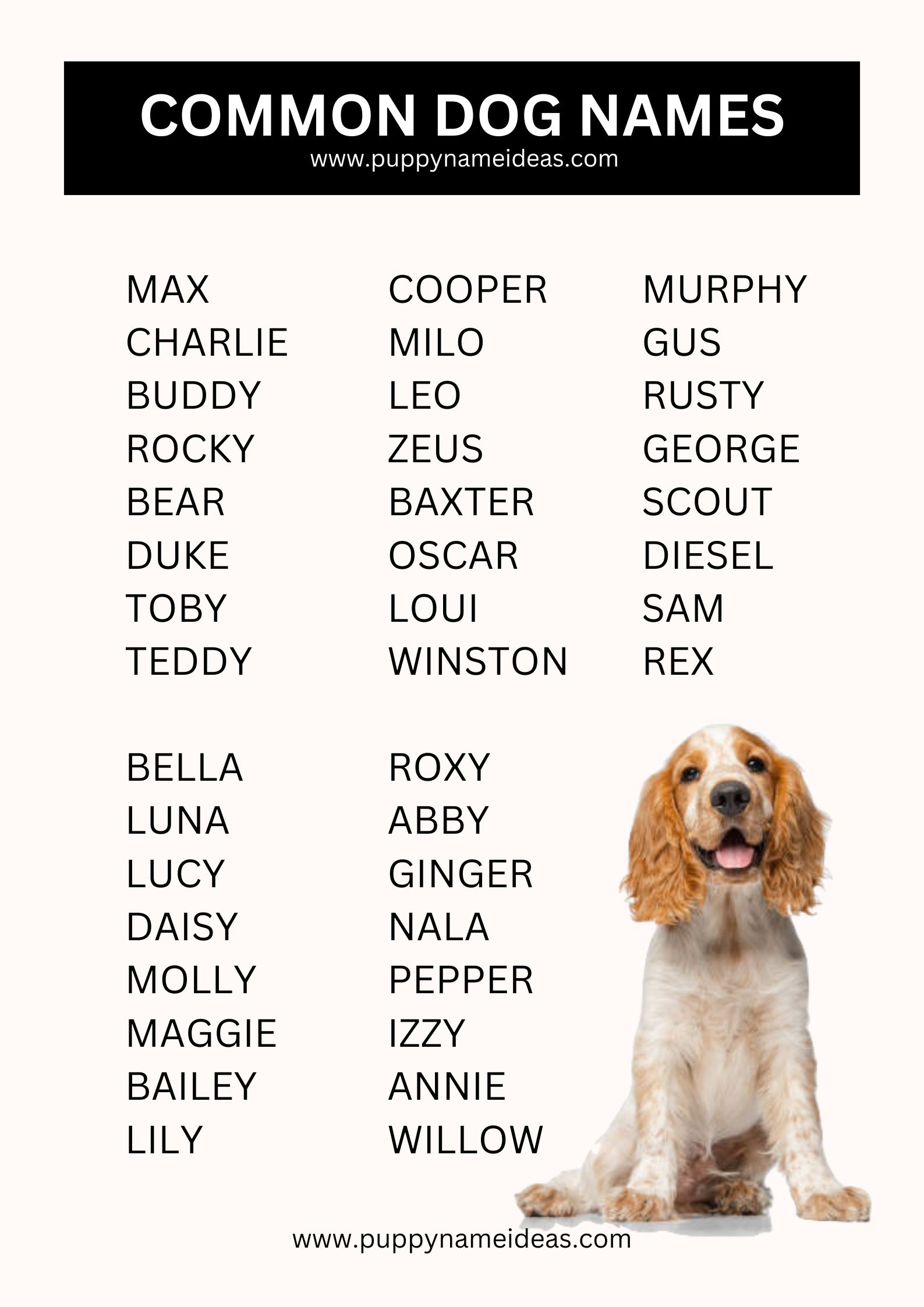 List Of Common Dog Names