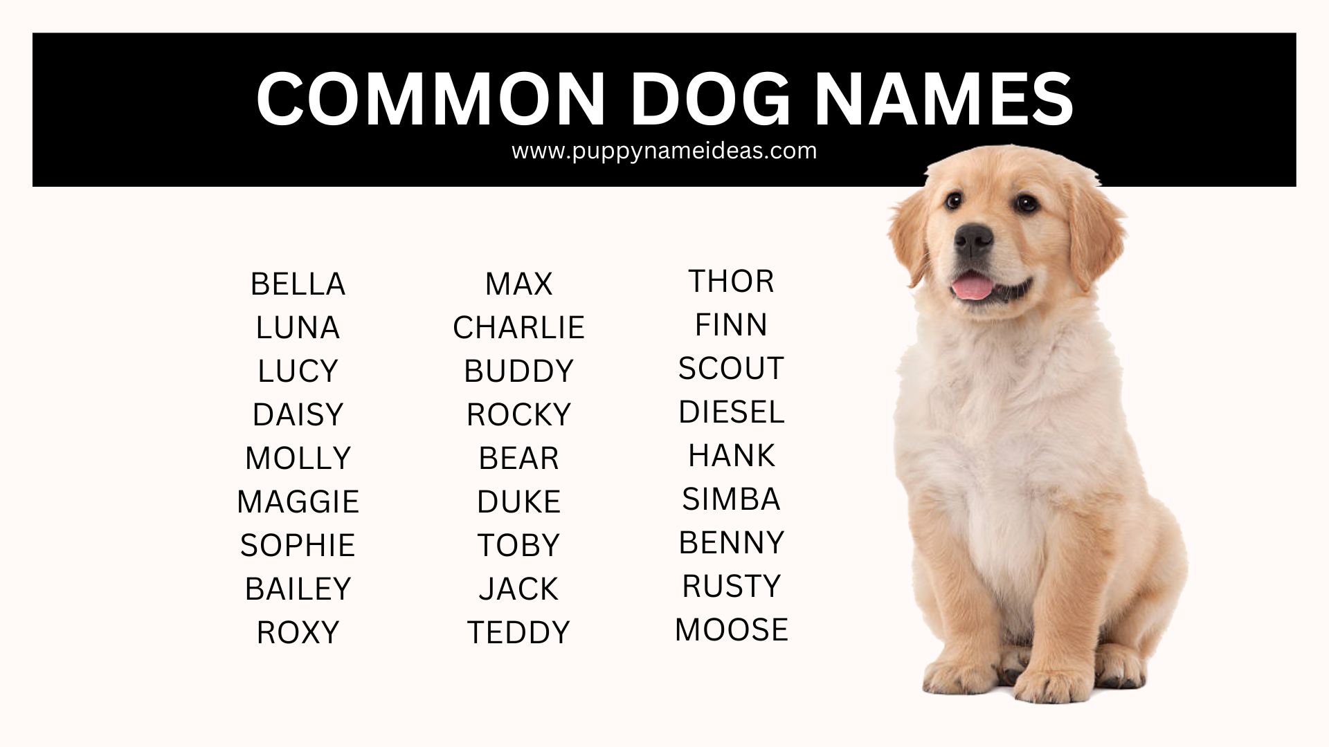 list of common dog names