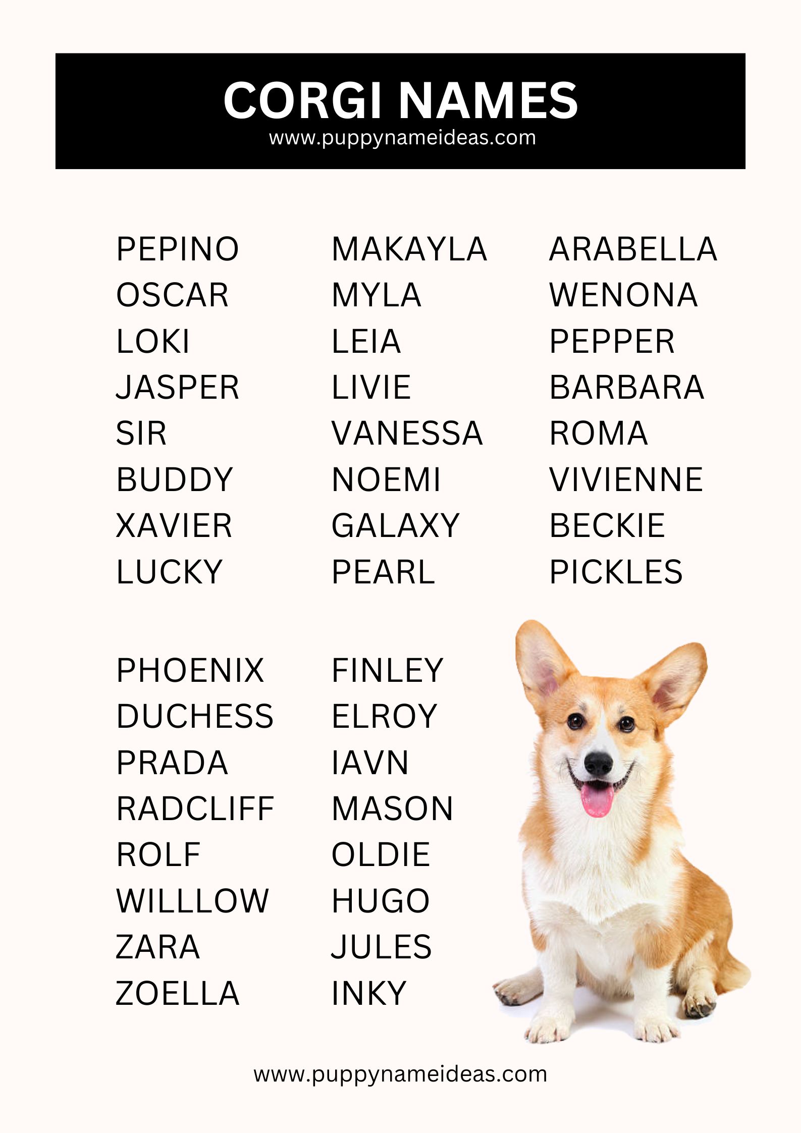 List Of Corgi Names