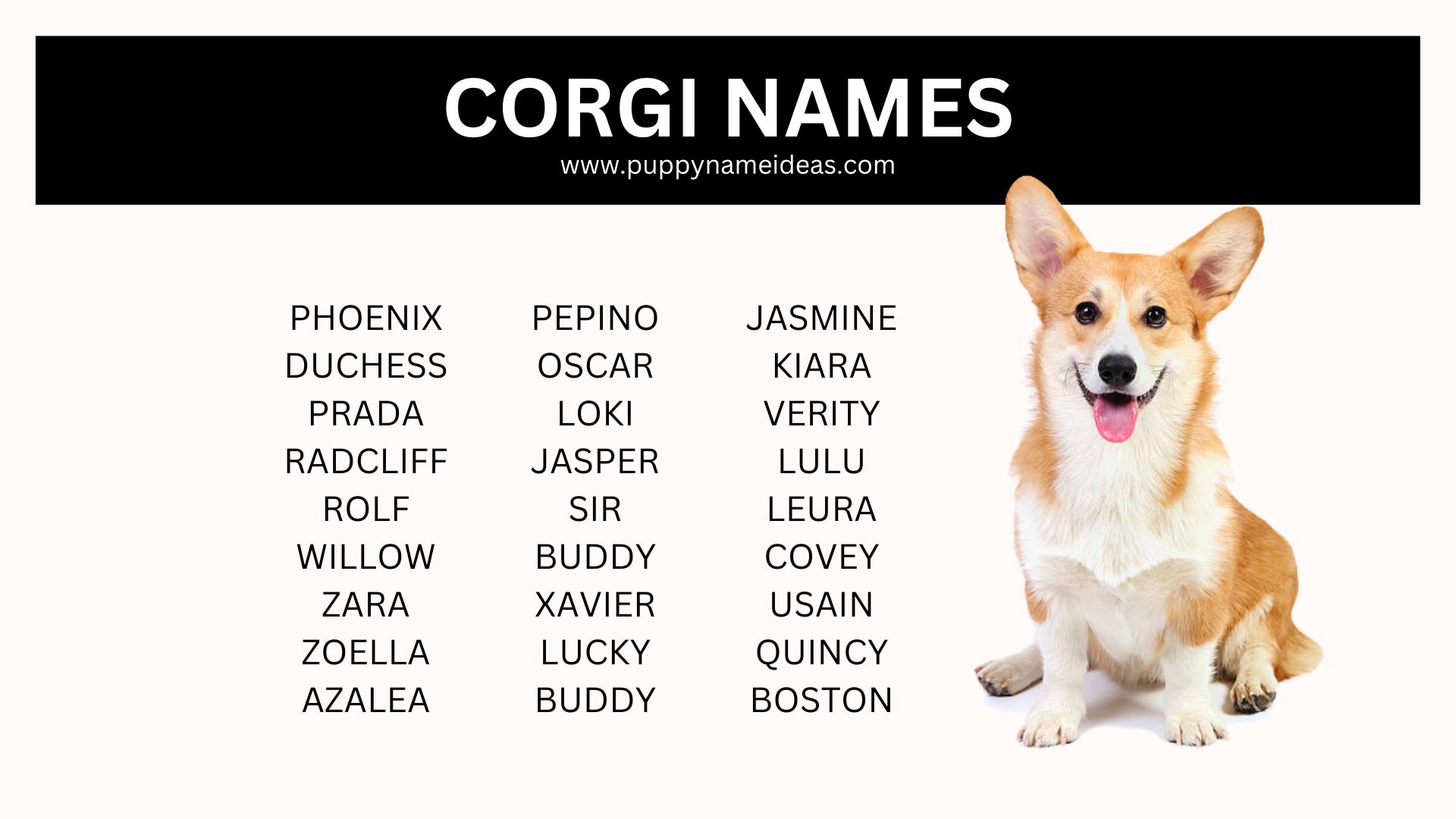 list of corgi names