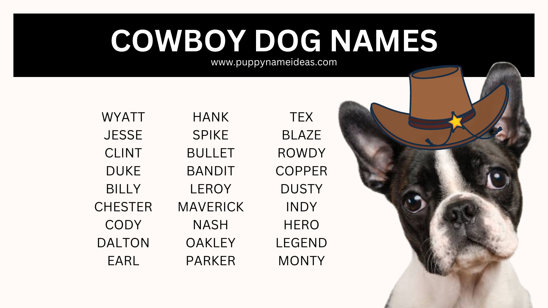 115+ Cowboy Dog Names