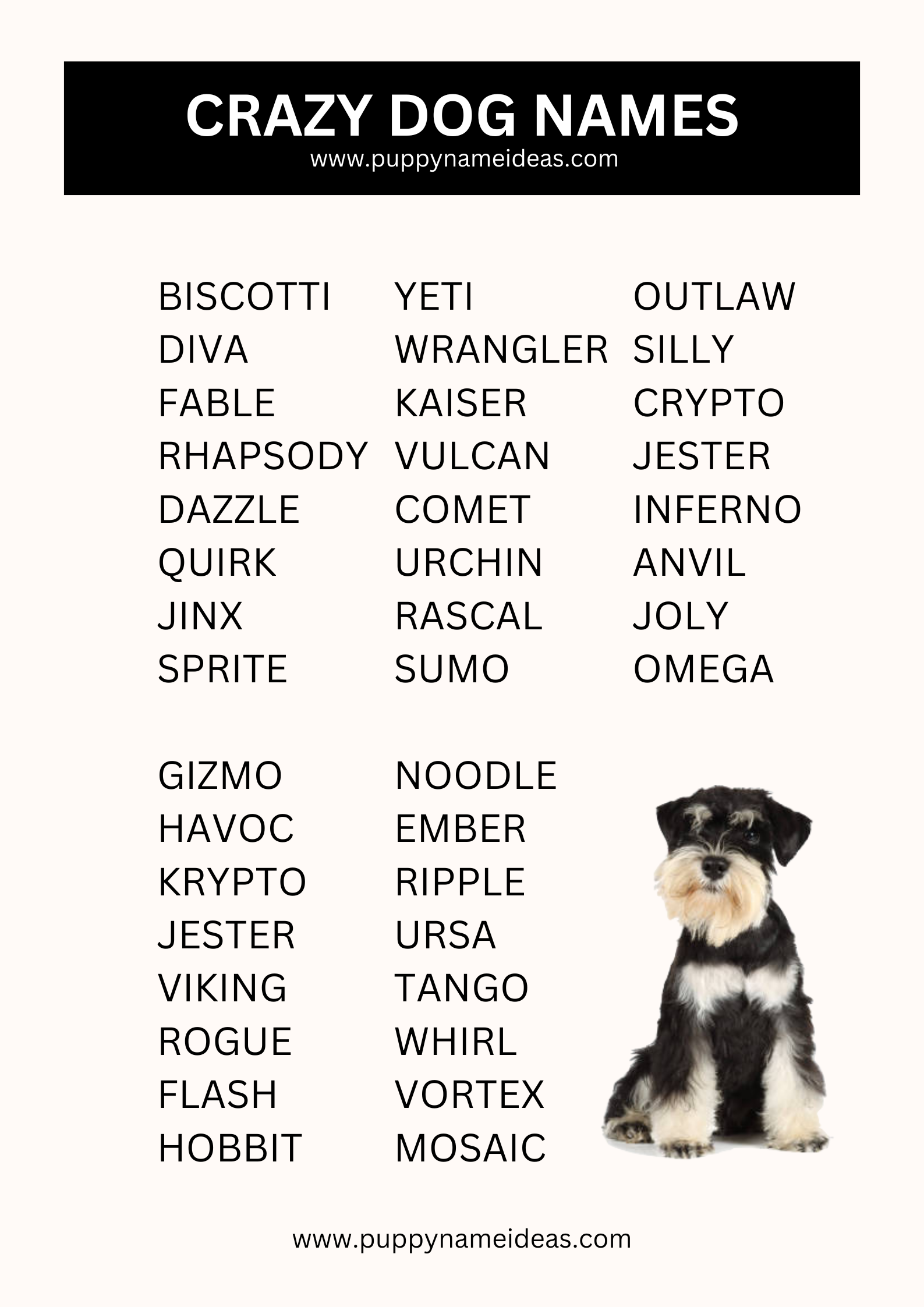 List Of Crazy Dog Names