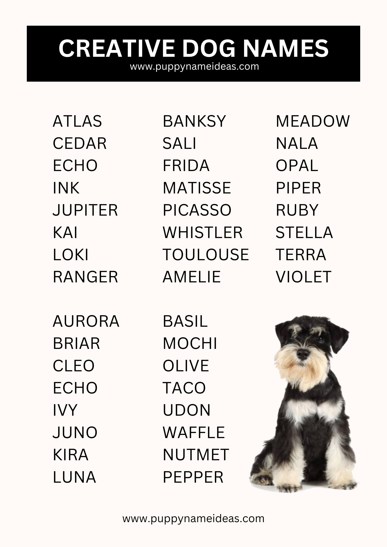 List Of Creative Dog Names