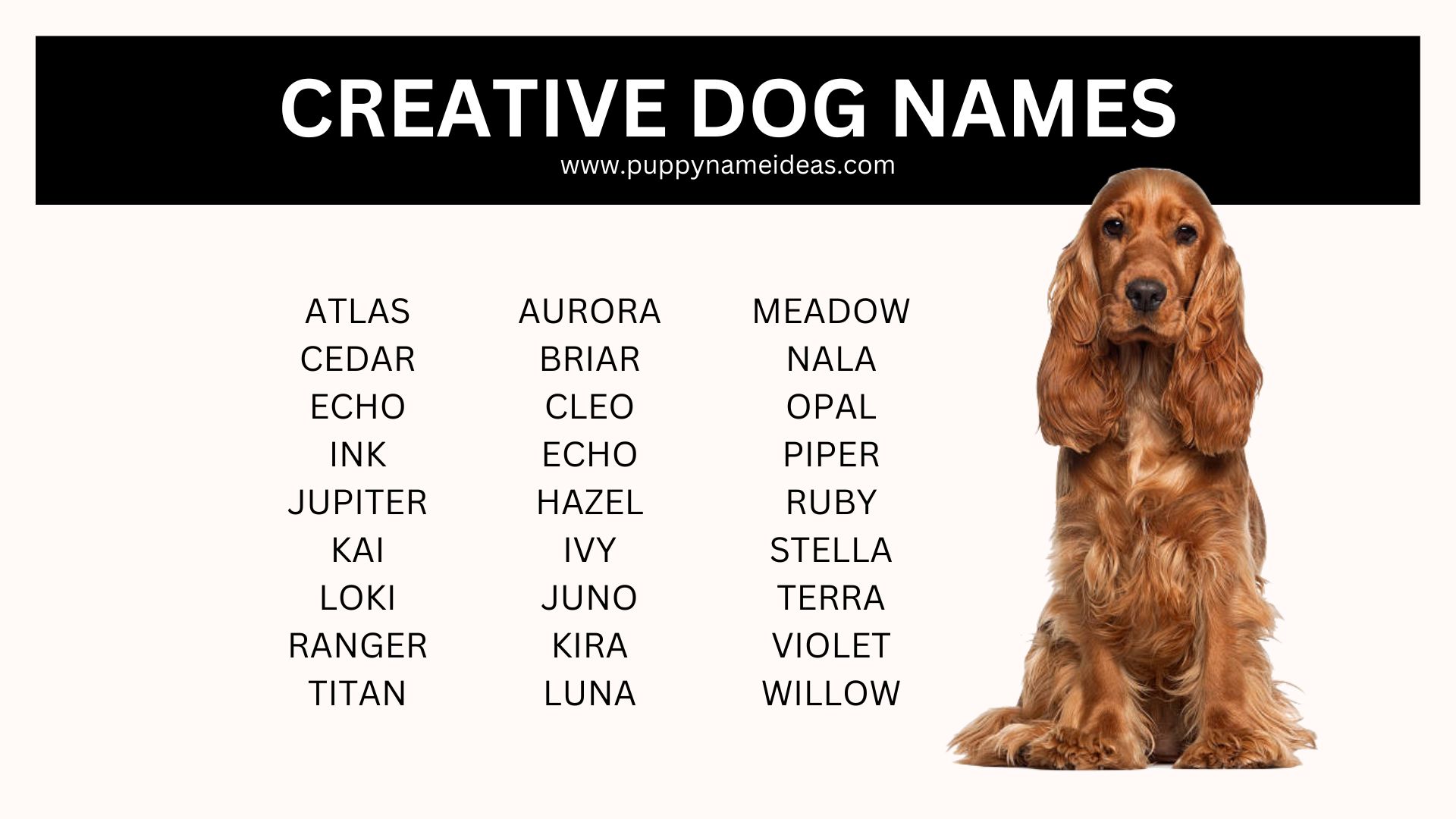 list of creative dog names