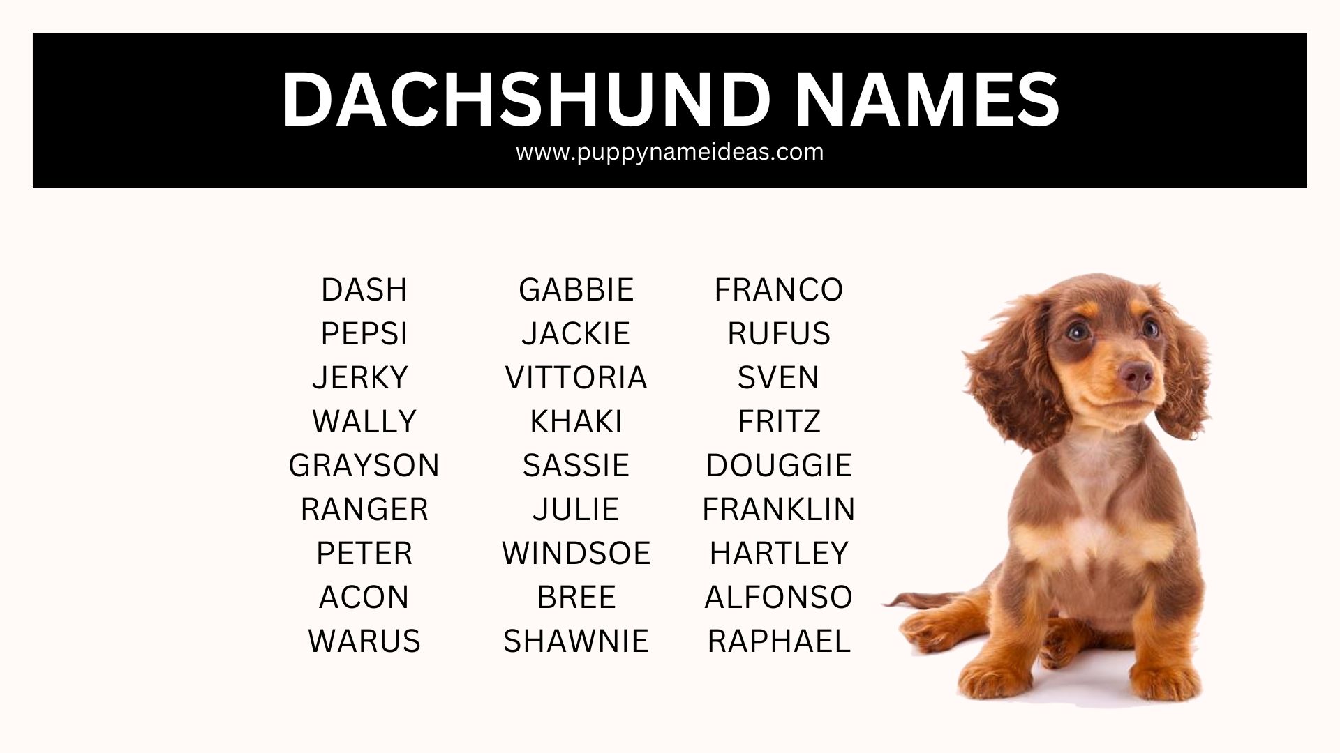 list of dachshund names