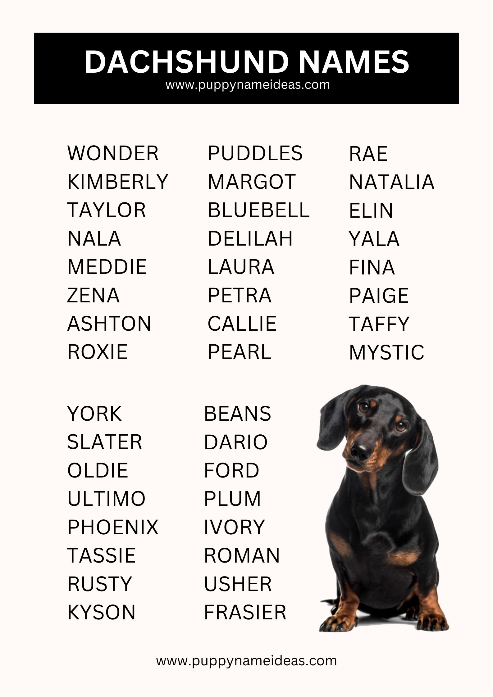 list of dachshund names