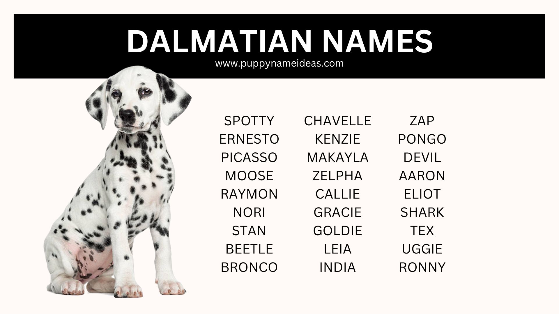 list of dalmatian names