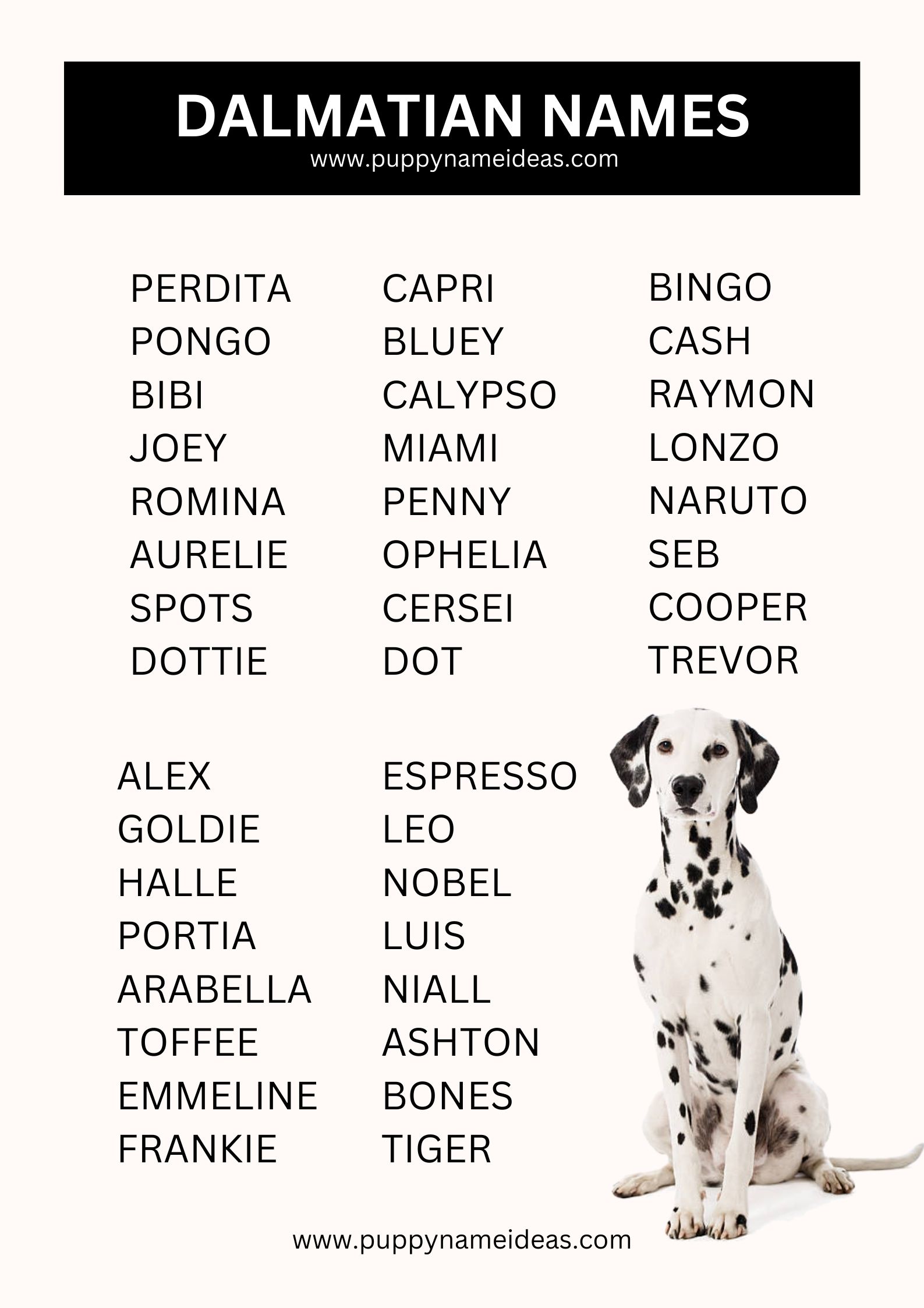 list of dalmatian names