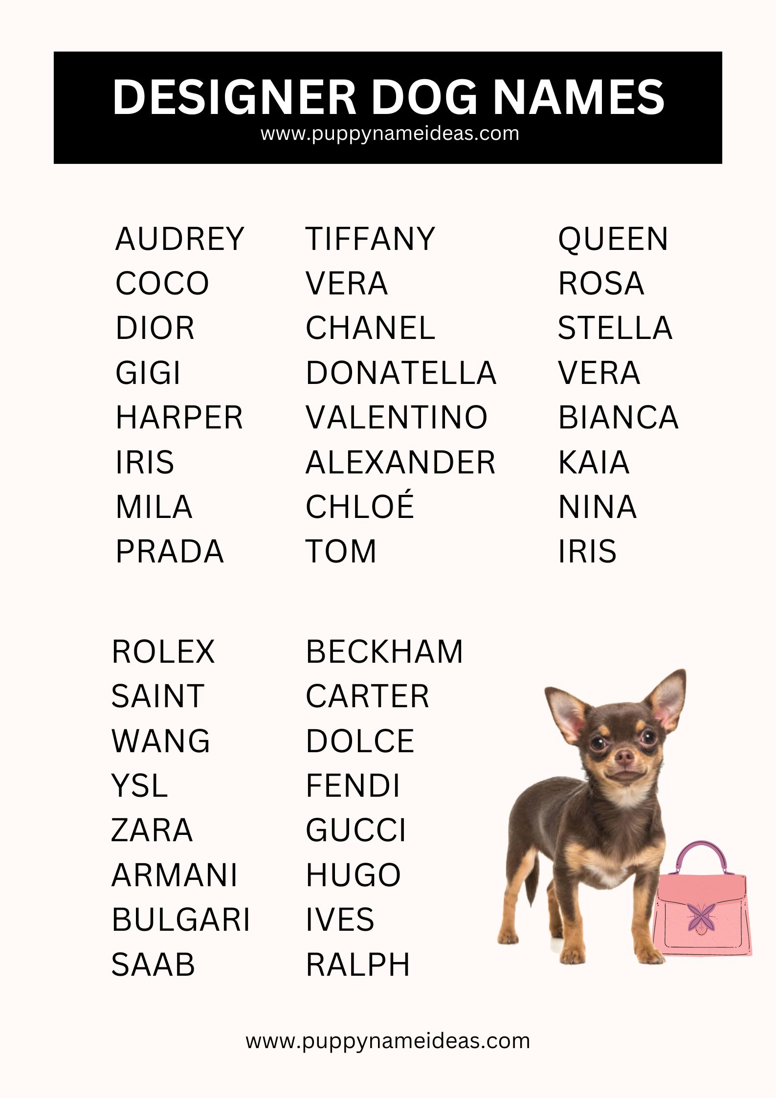 list of designer dog names