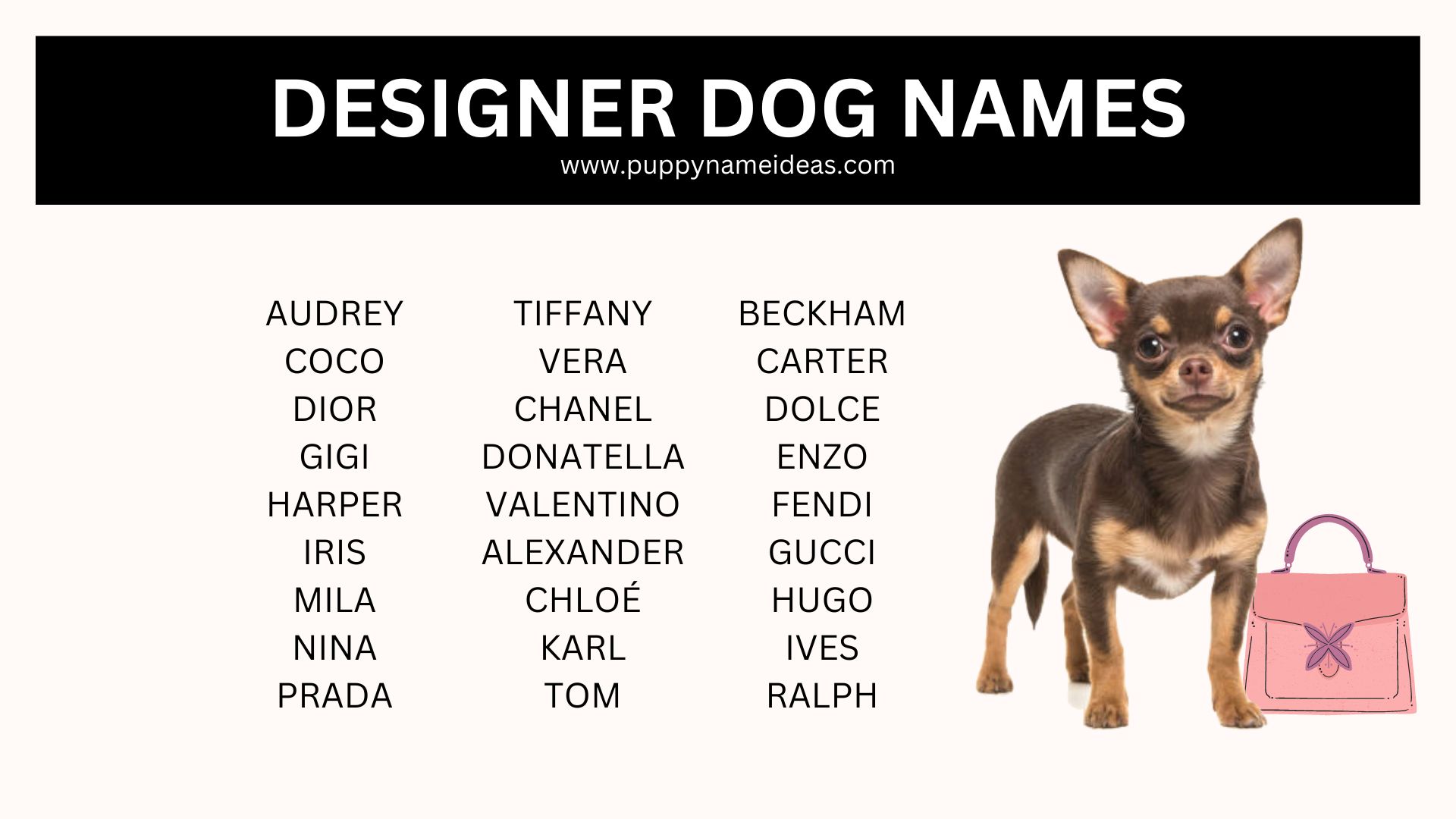 list of designer dog names