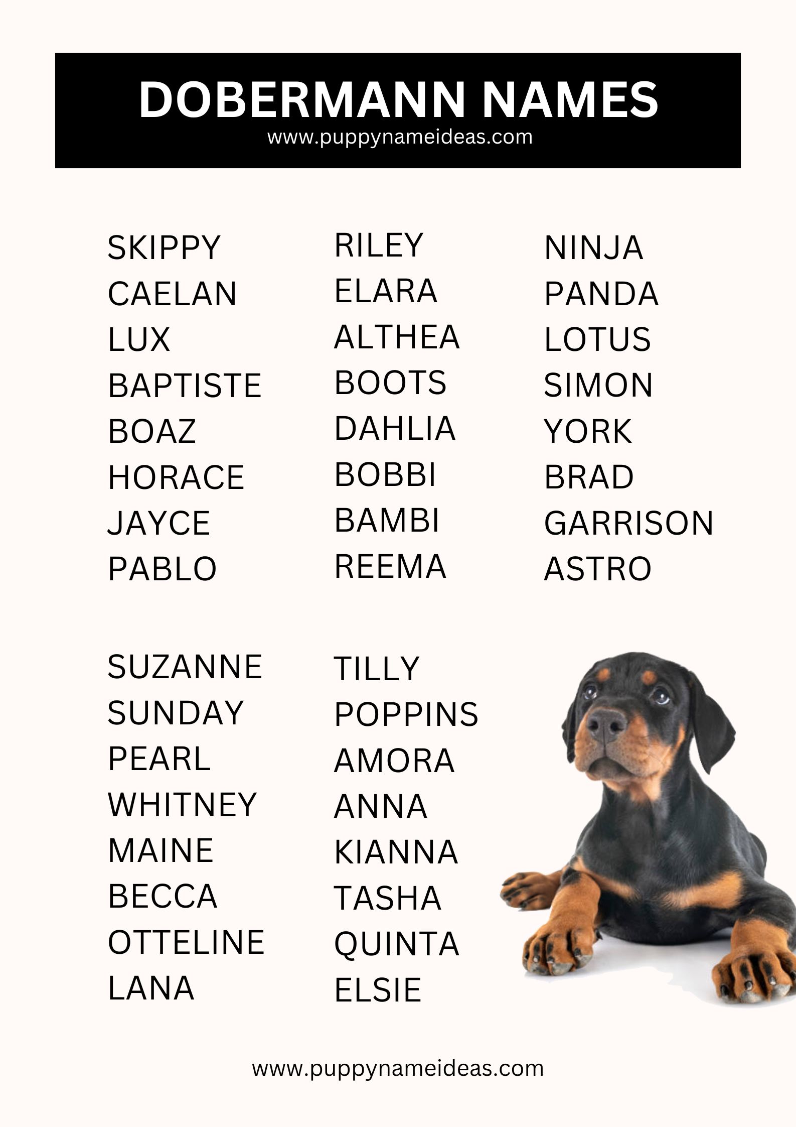 List Of Doberman Names