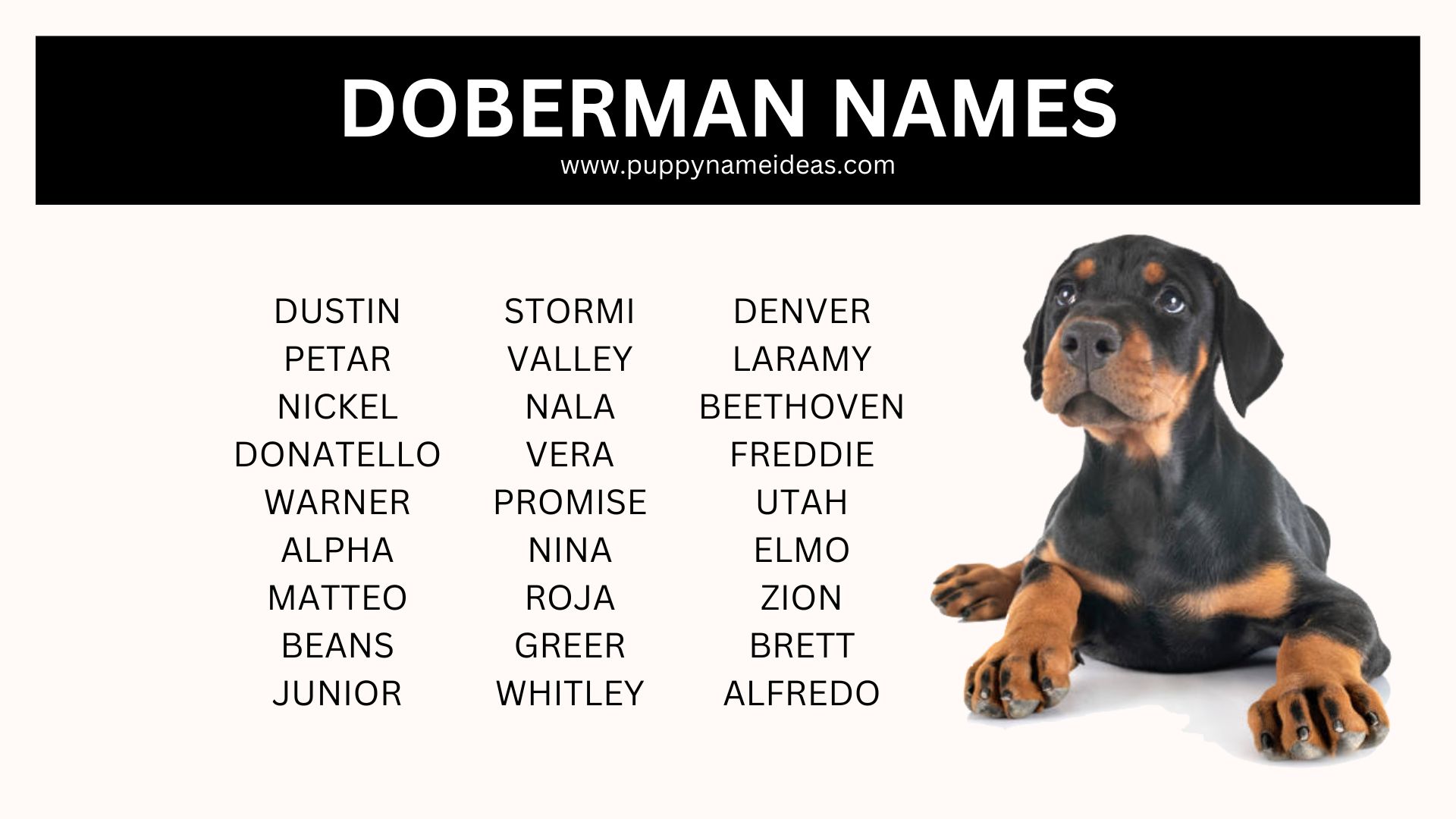 list of doberman names