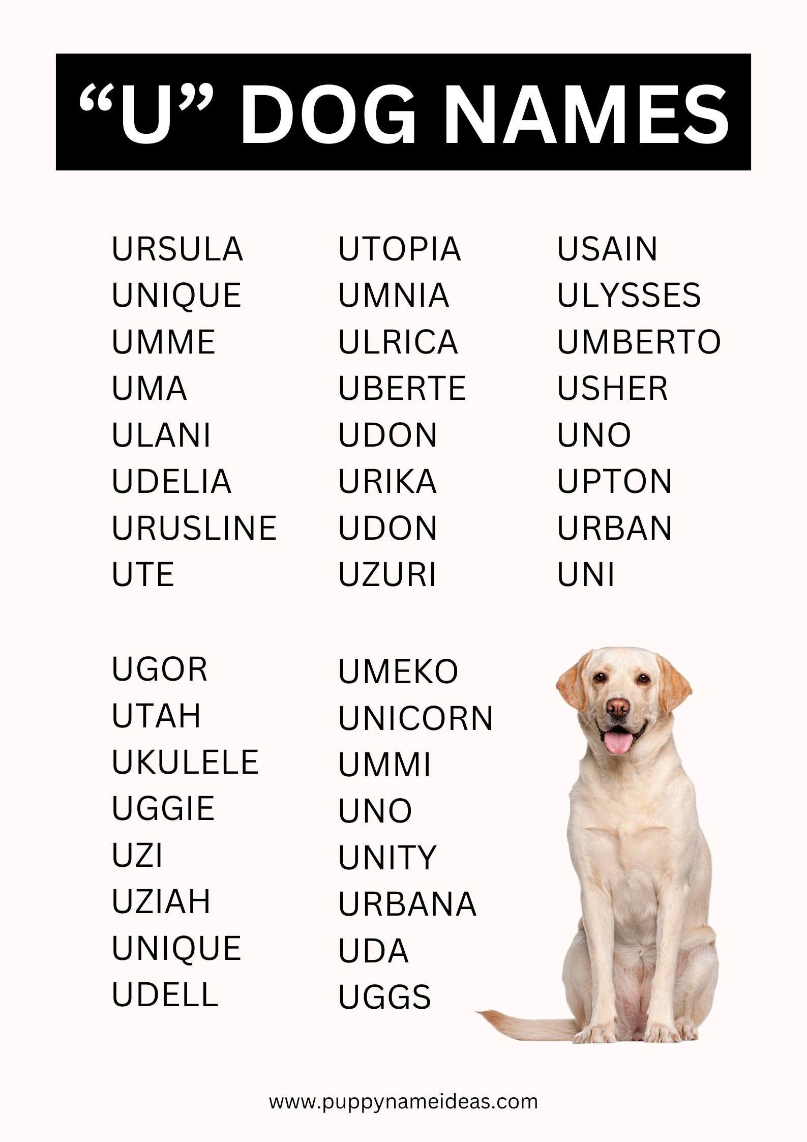 list of dog names that start with U