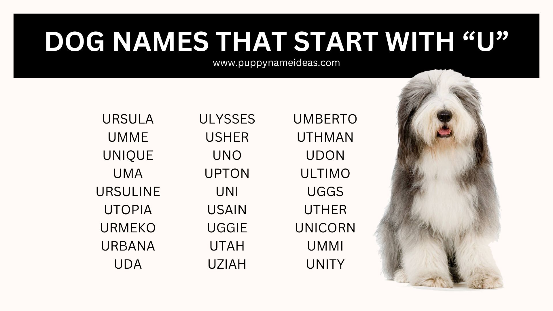 list of dog names that start with U