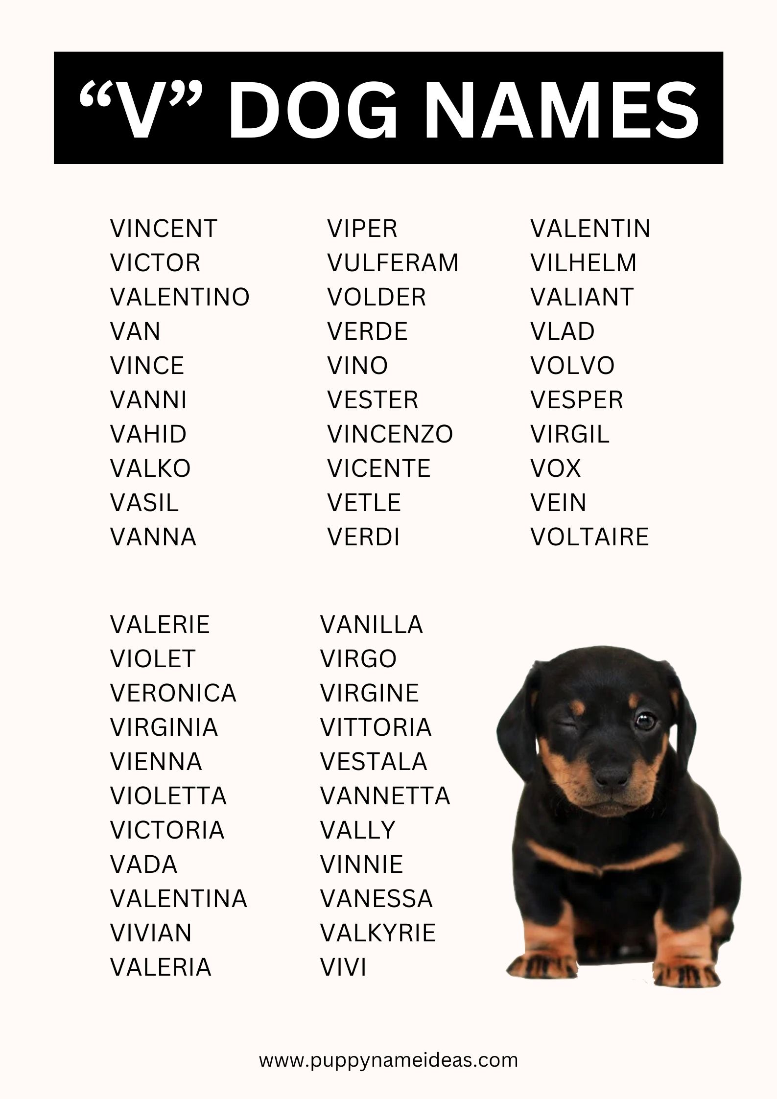 List Of Dog Names That Start With V
