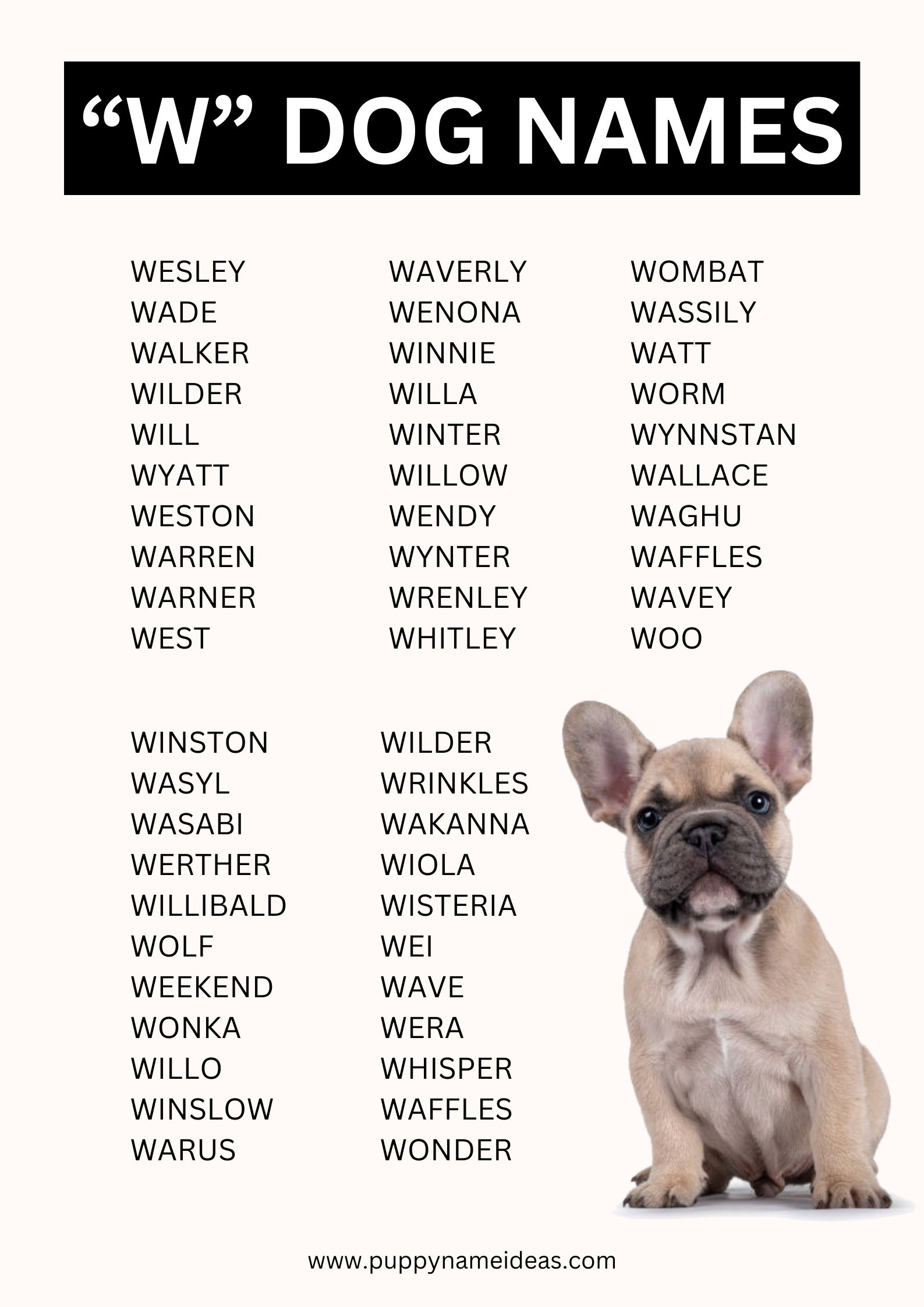 List Of Dog Names That Start With W