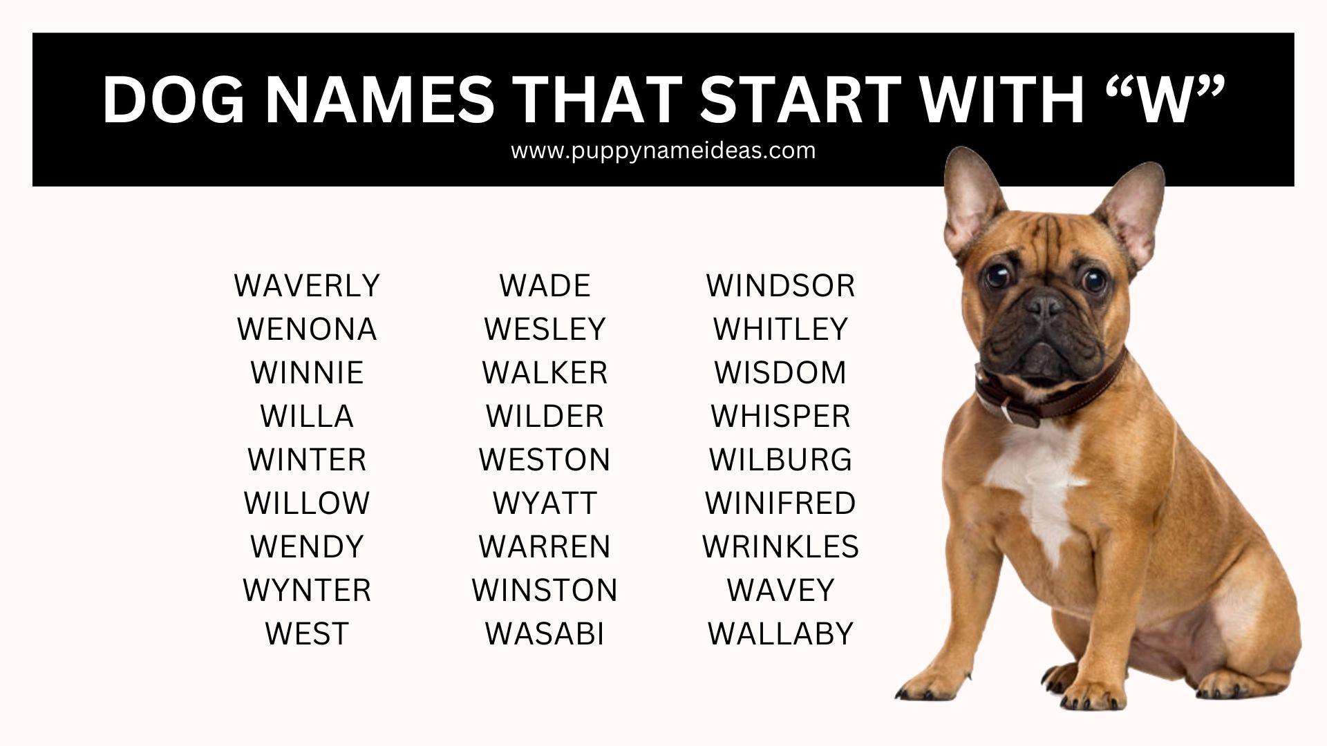 list of dog names that start with W