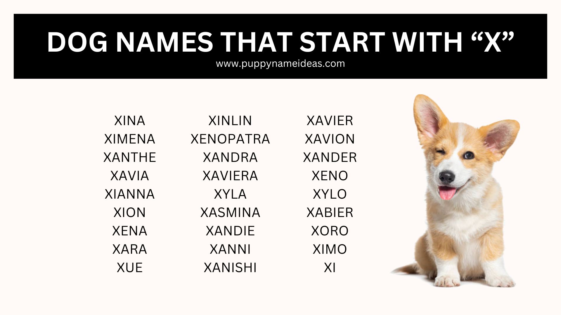 list of dog names that start with X