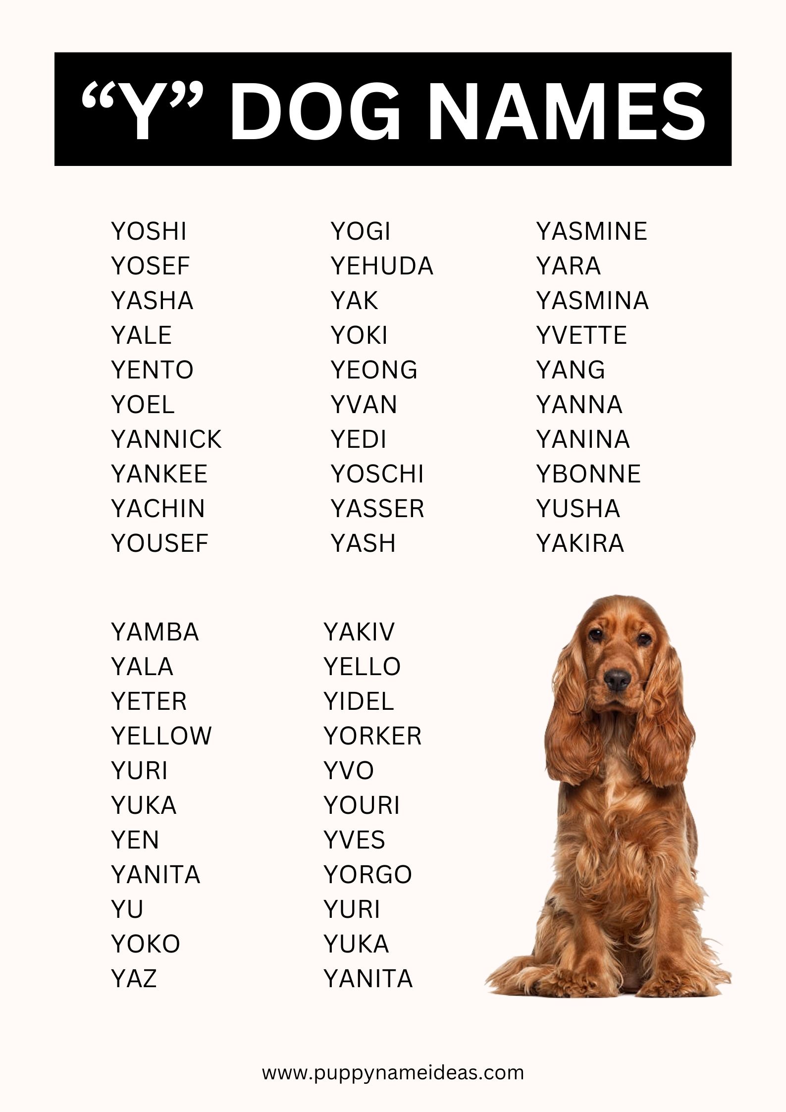 List Of Dog Names That Start With Y