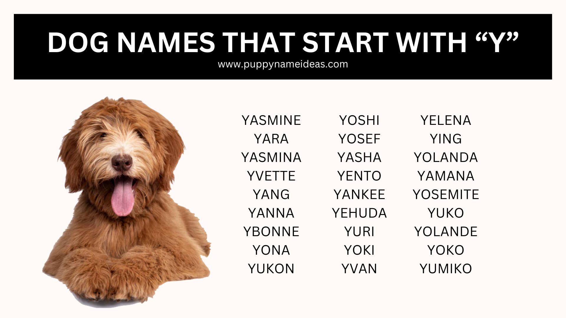 list of dog names that start with Y